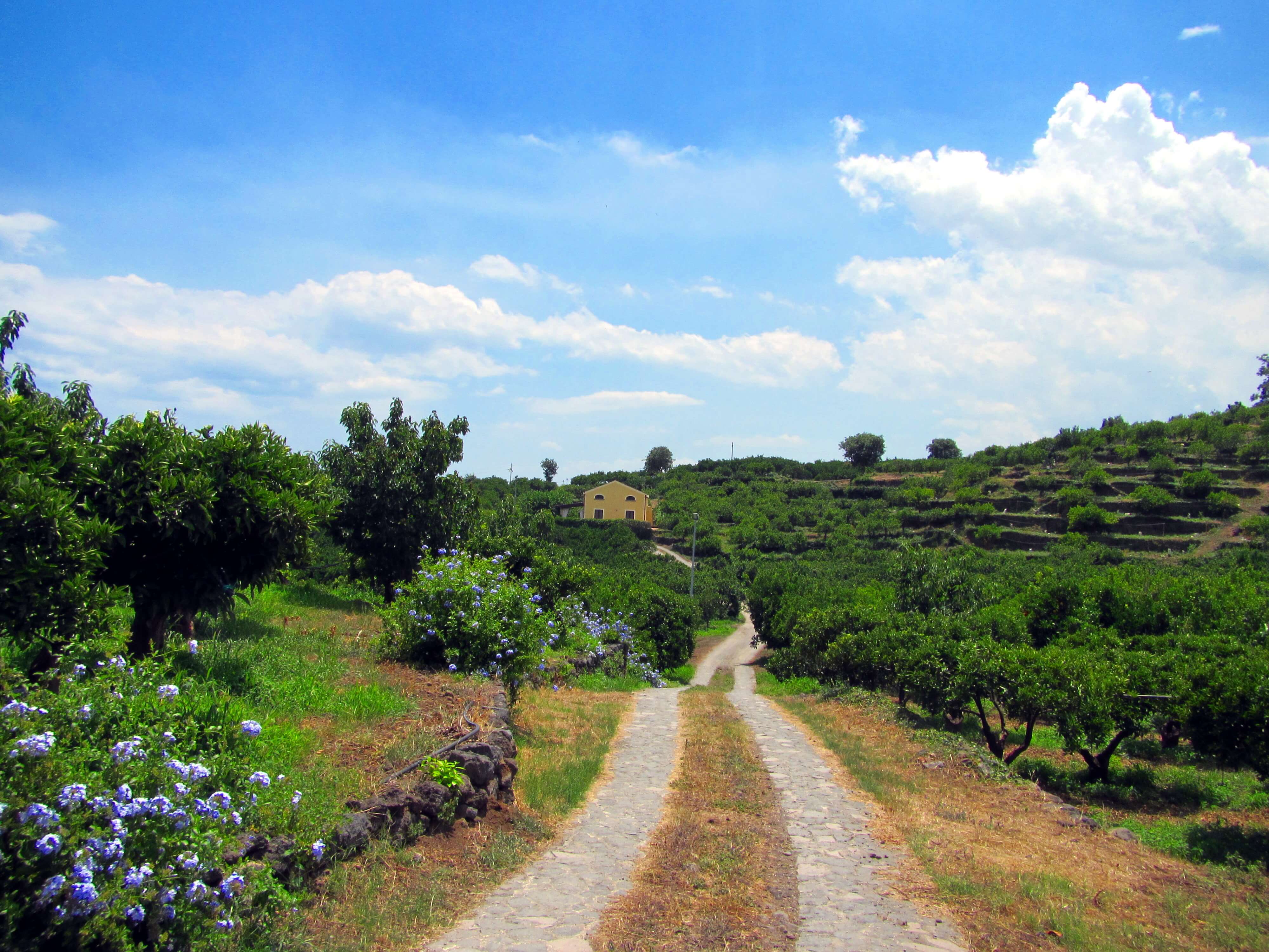 Route de la Casa Arancia à l'agritourisme en Sicile
