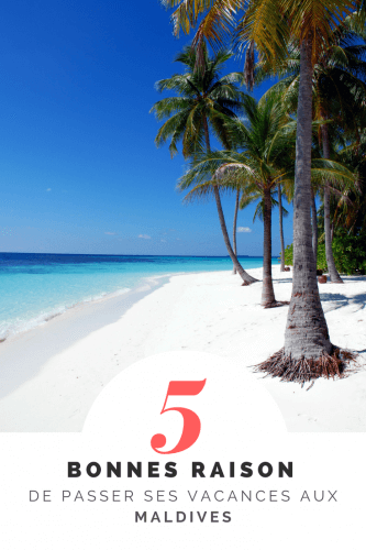 Vacances aux Maldives 5 raisons Pinterest