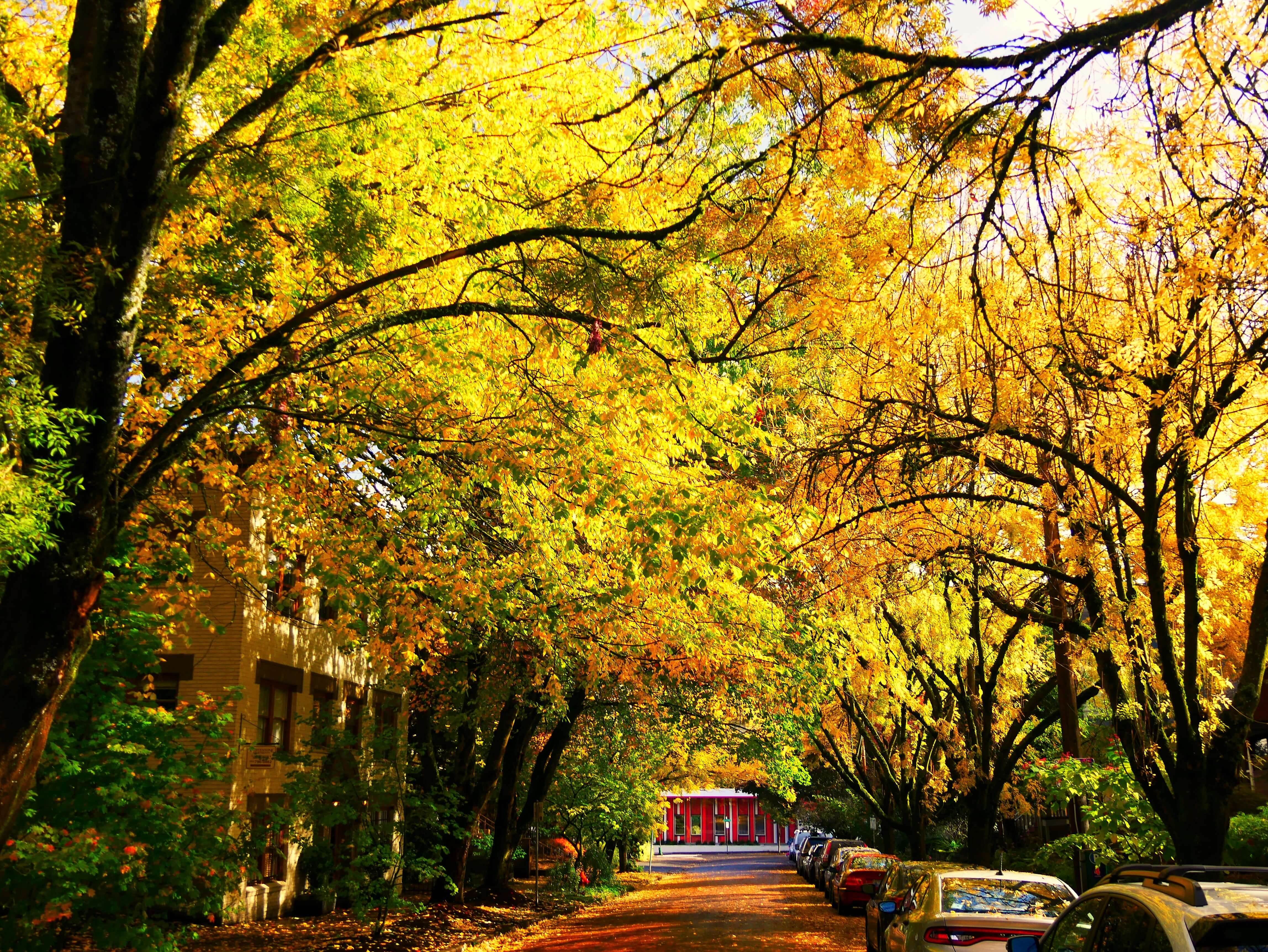 Visiter Portland pendant un road trip en Oregon