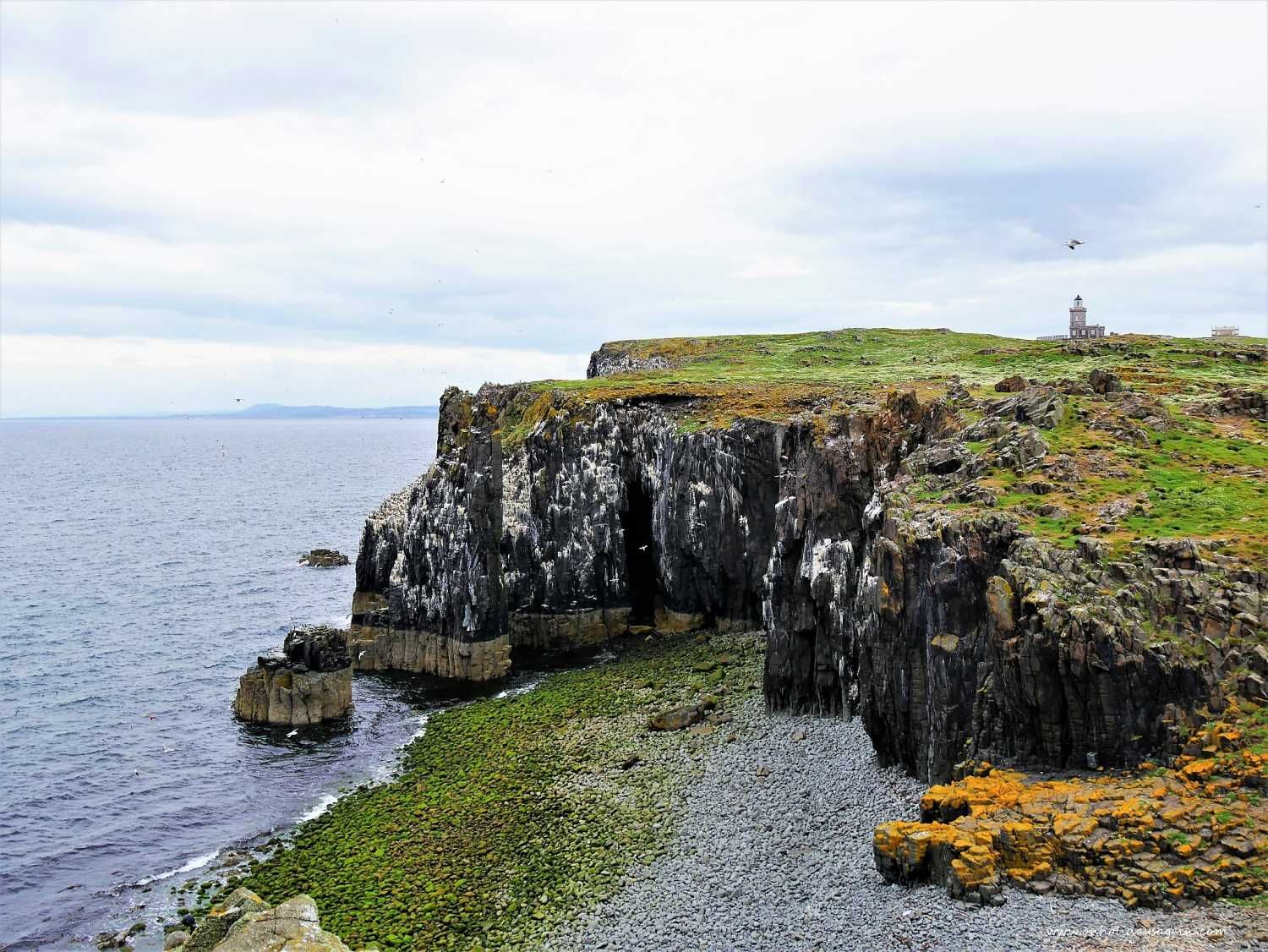 Falaises de l'Ile de May en Ecosse