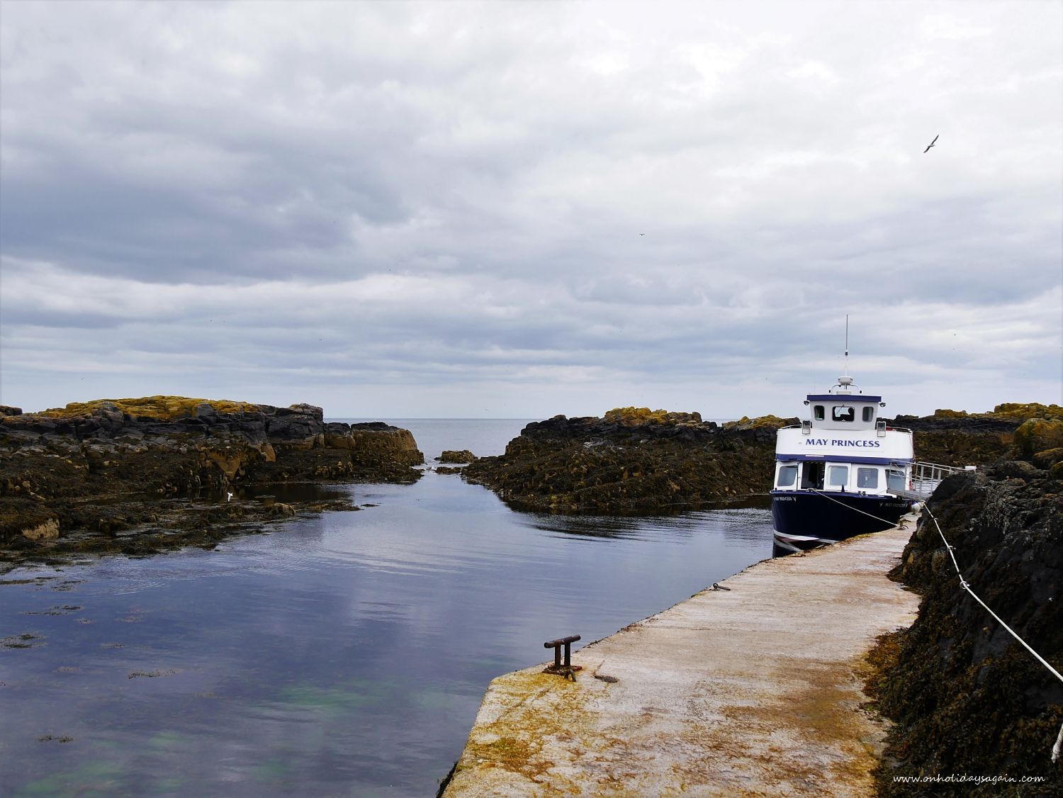 Notre bateau pour aller à l'Ile de May en Ecosse