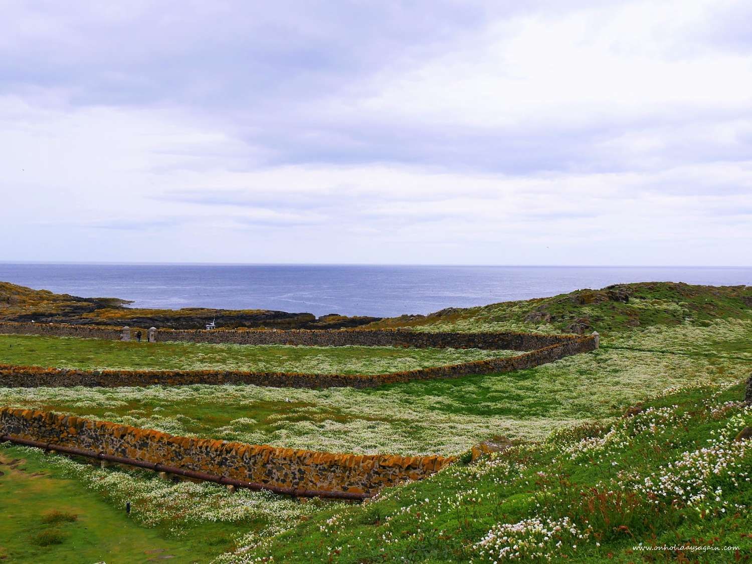 Chemins sur l'Ile de May en Ecosse