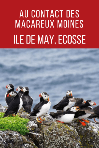 ile de May Ecosse Pinterest
