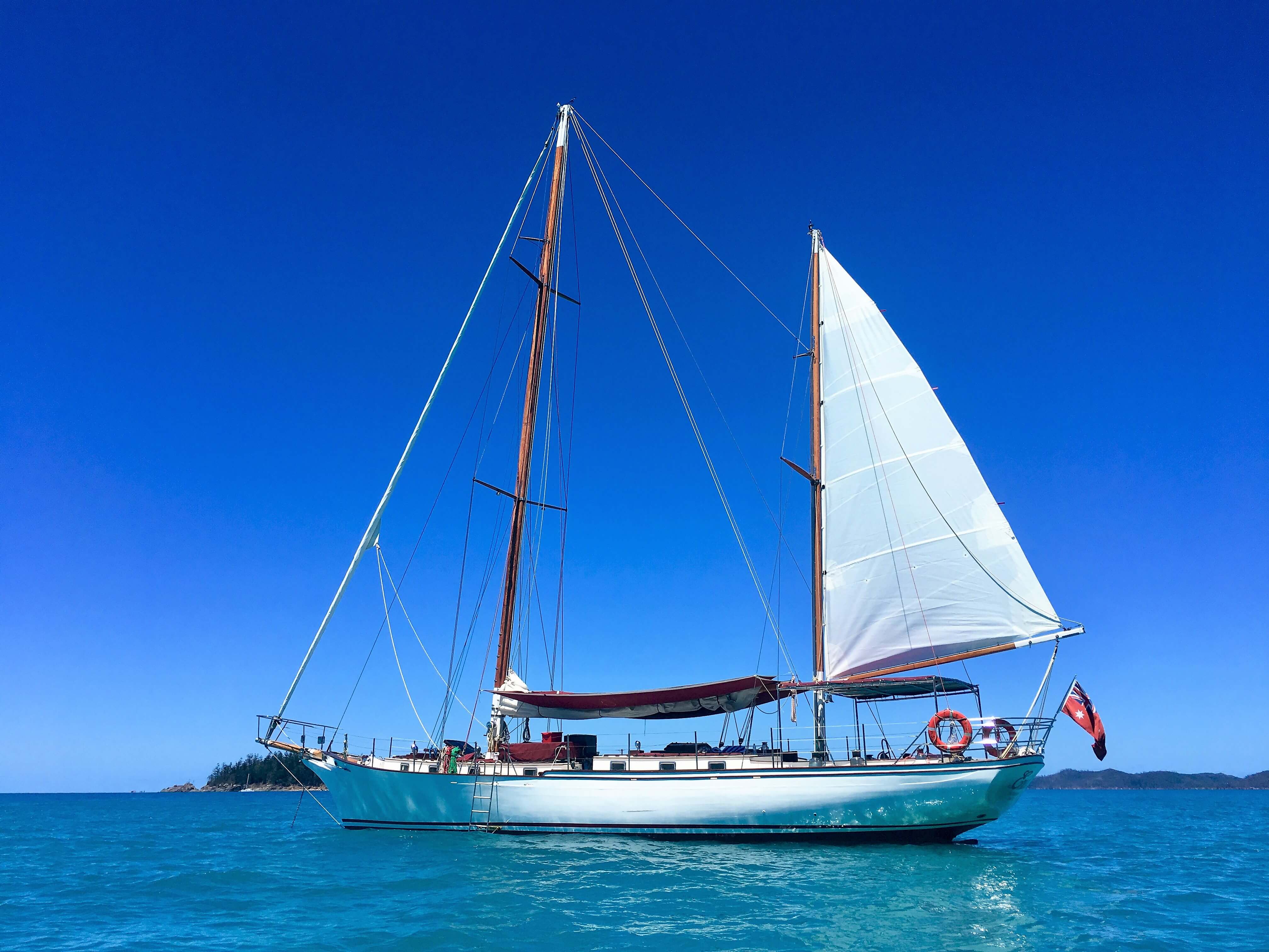 Coirisière dans les iles Whitsundays en Australie