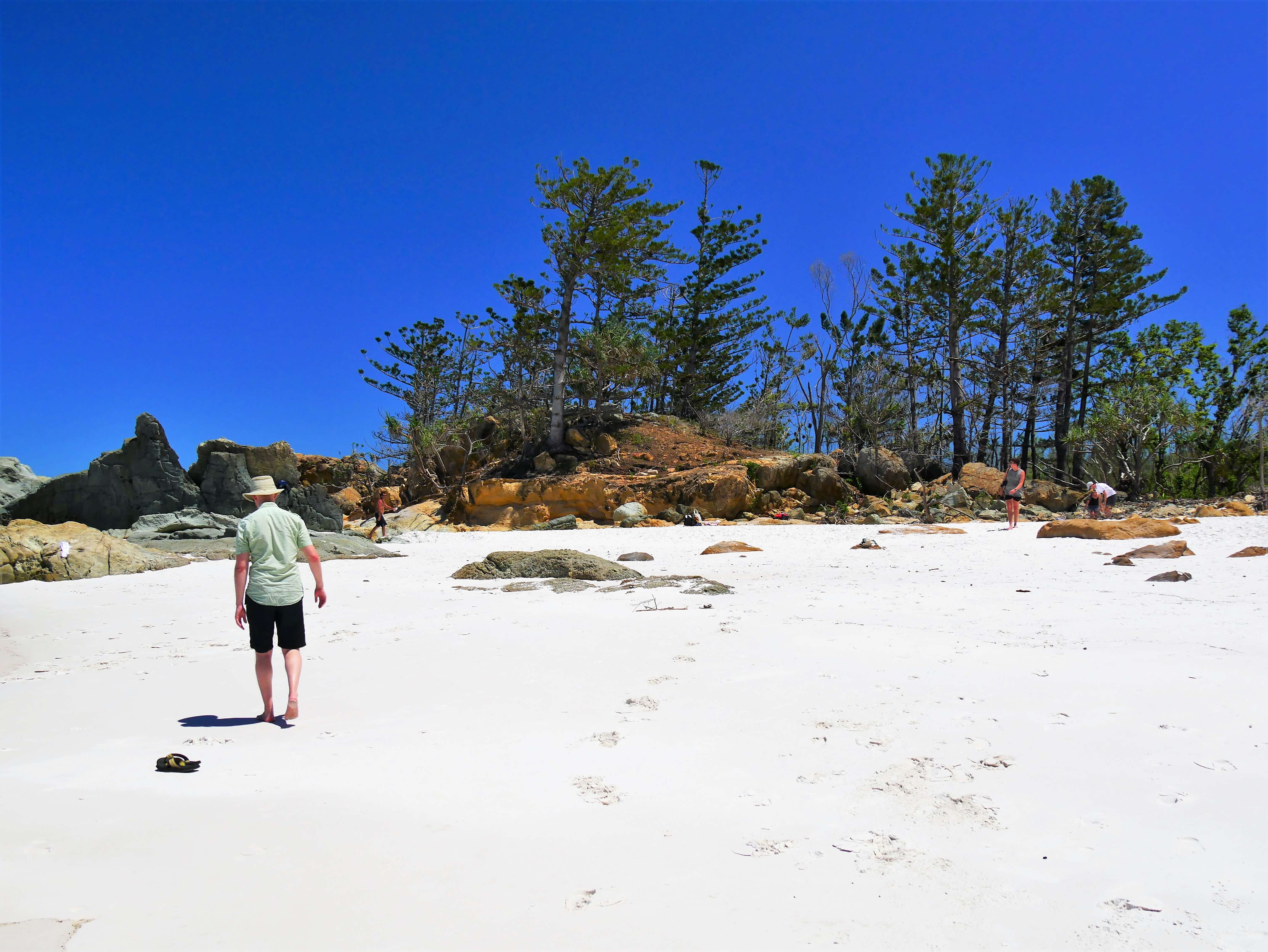 Une jolie plage des Whitsundays Queensland