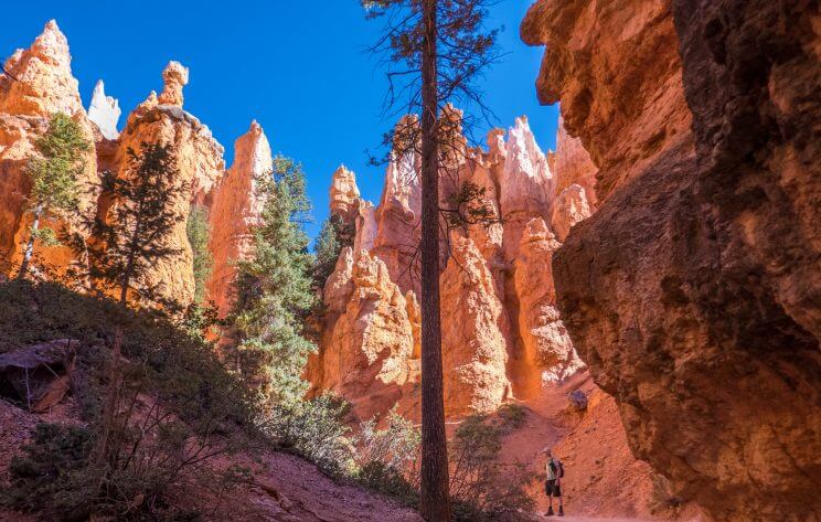 Au milieu des hoodoos sur le Queens Garden Trail à Bryce Canyon