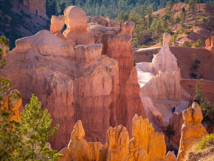 Lumière matinale sur les hoodoos à Bryce Canyon