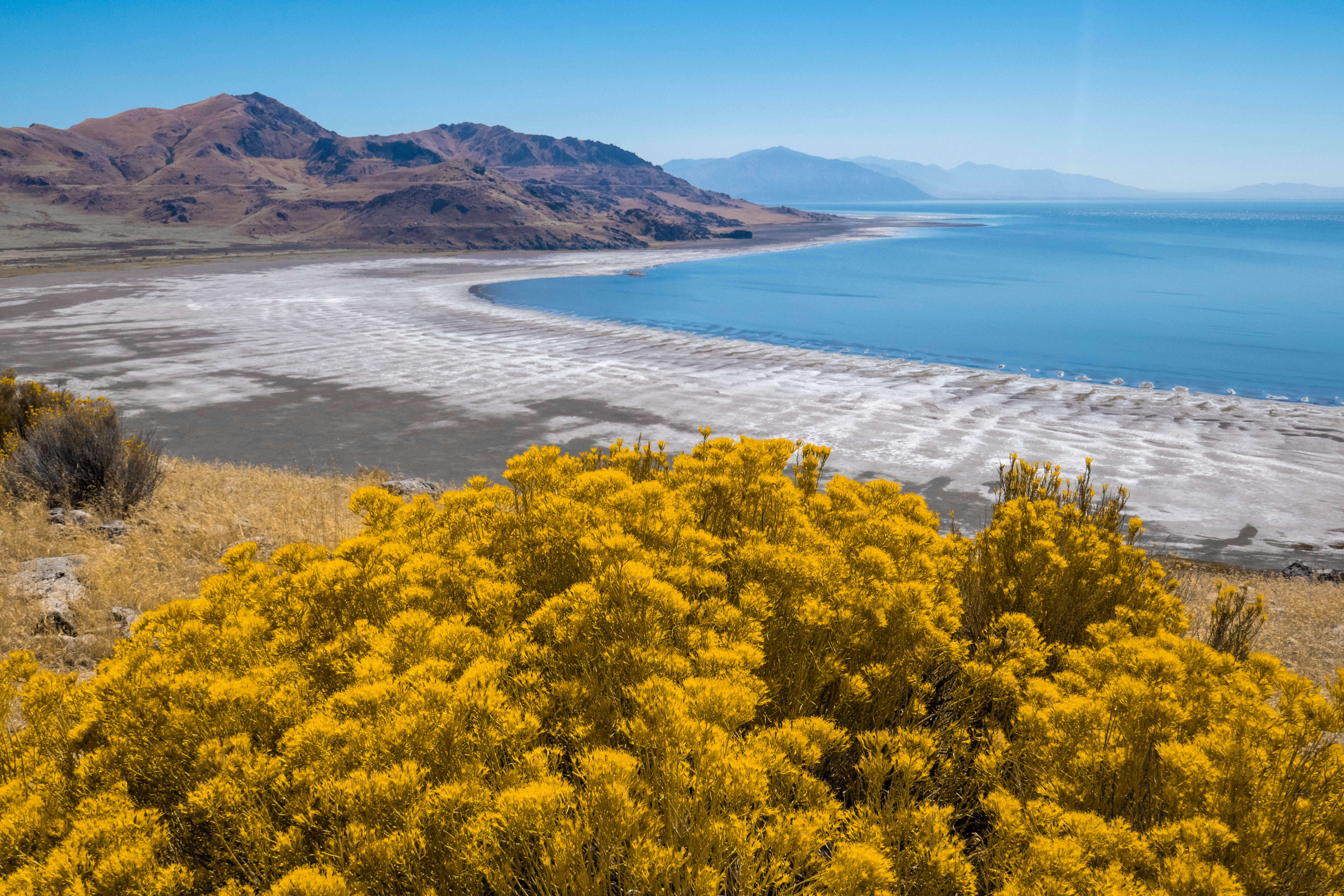 Vue sur le Grand Lac Salé depuis Antelope Island en Utah