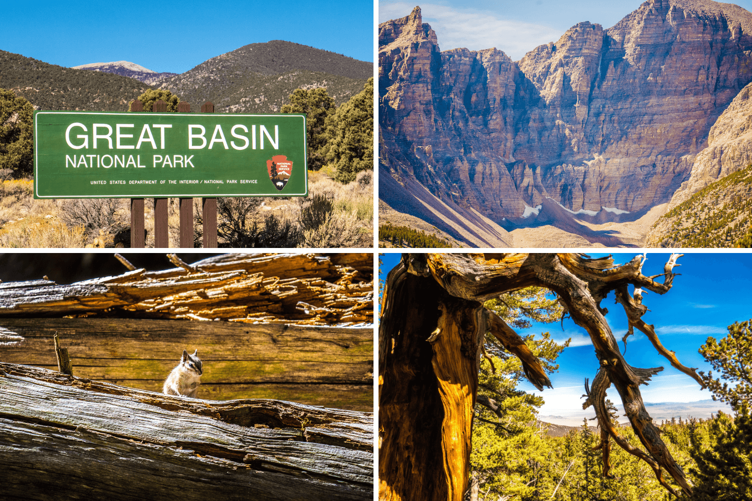 Parc national de Grand Basin sur la route 50