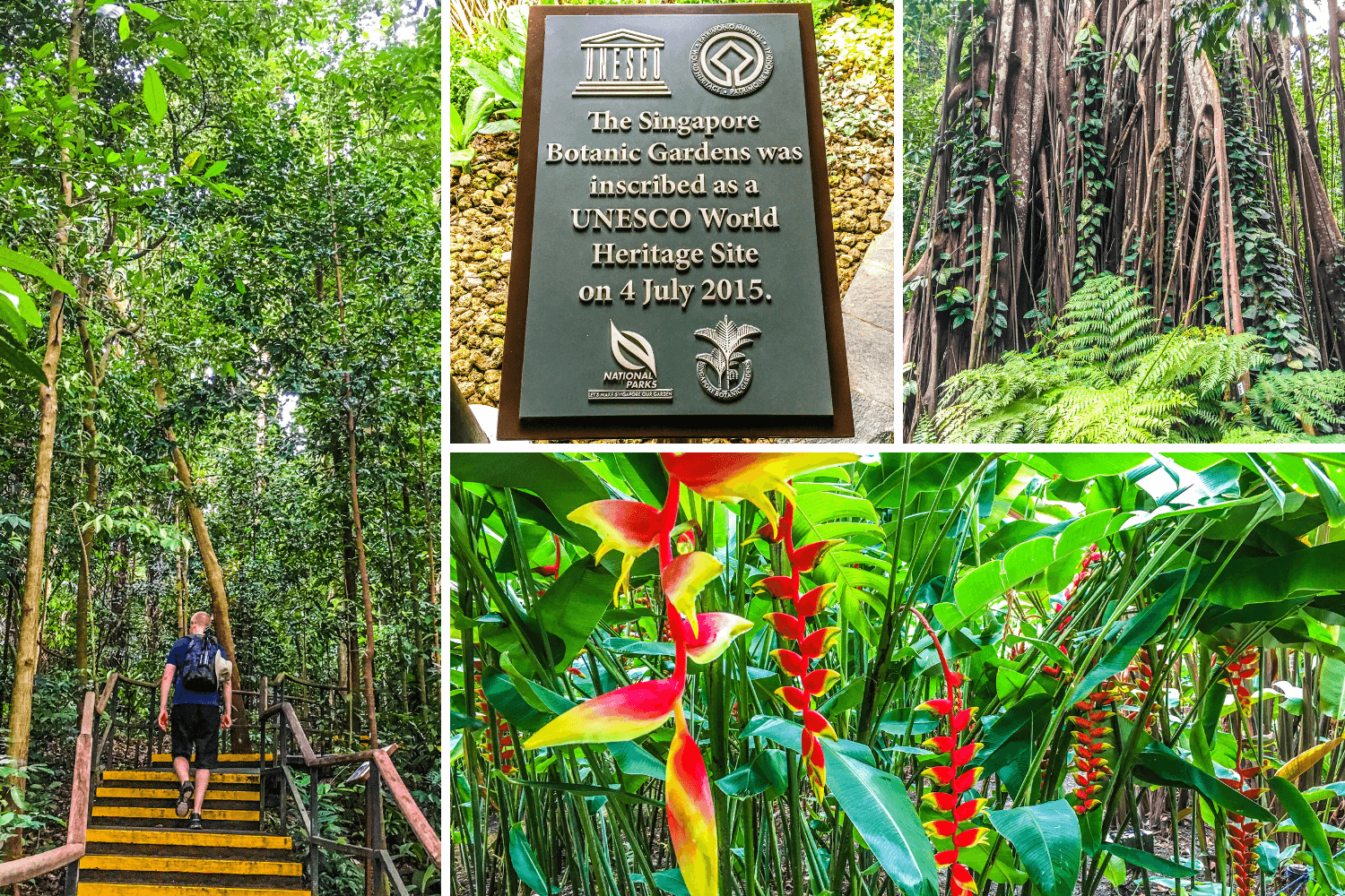 Jardin botanique de Singapour à l'UNESCO