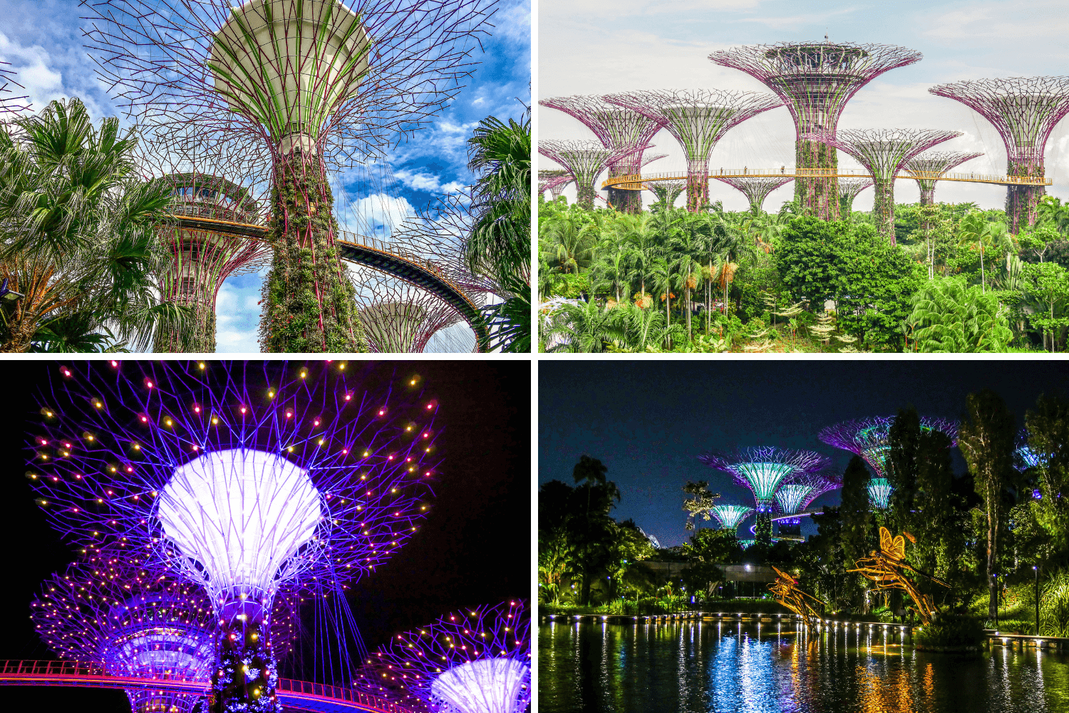 Supertrees Garden by the bay Singapour