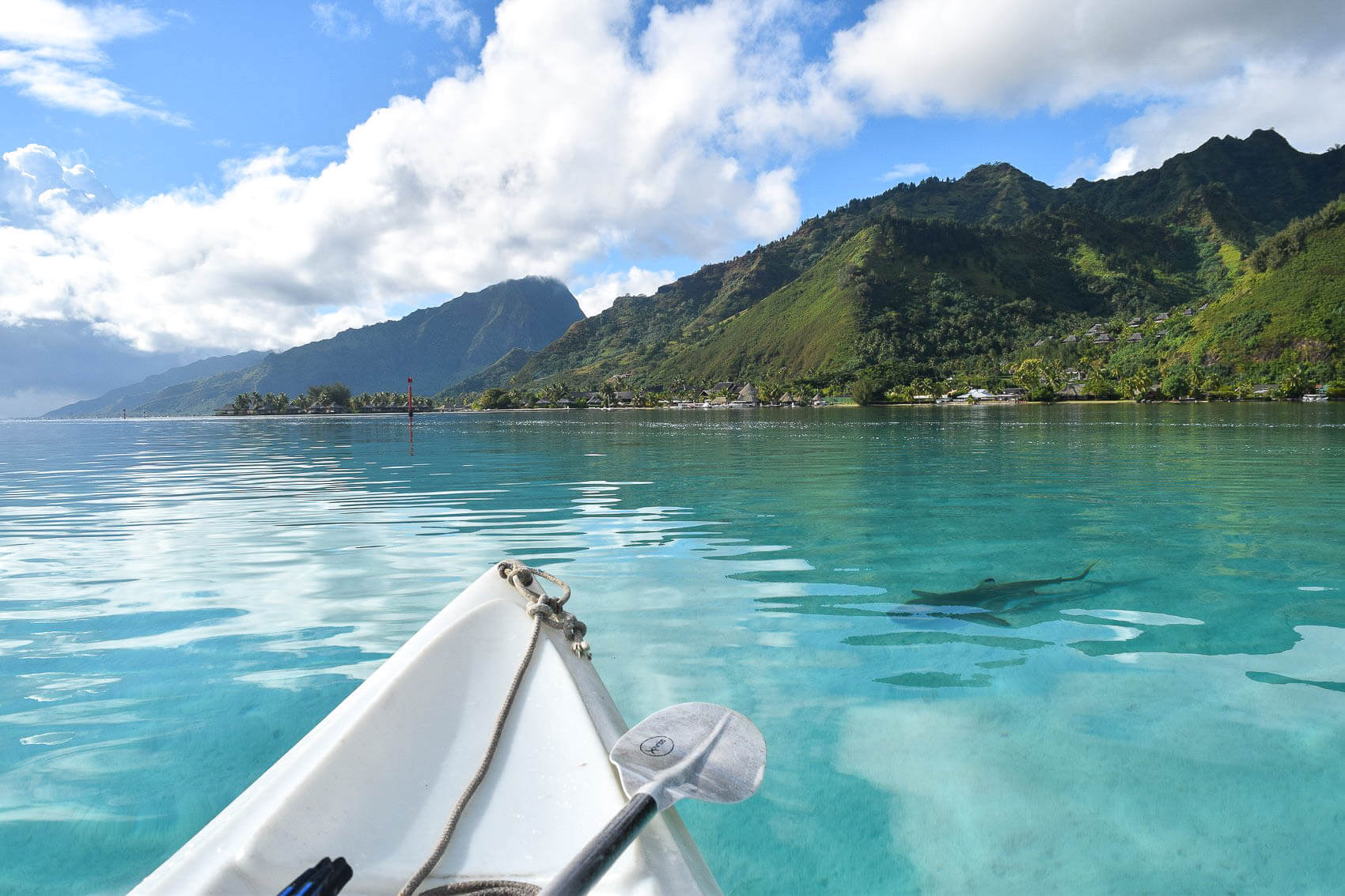 Moorea ile paradisiaque Polynésie française