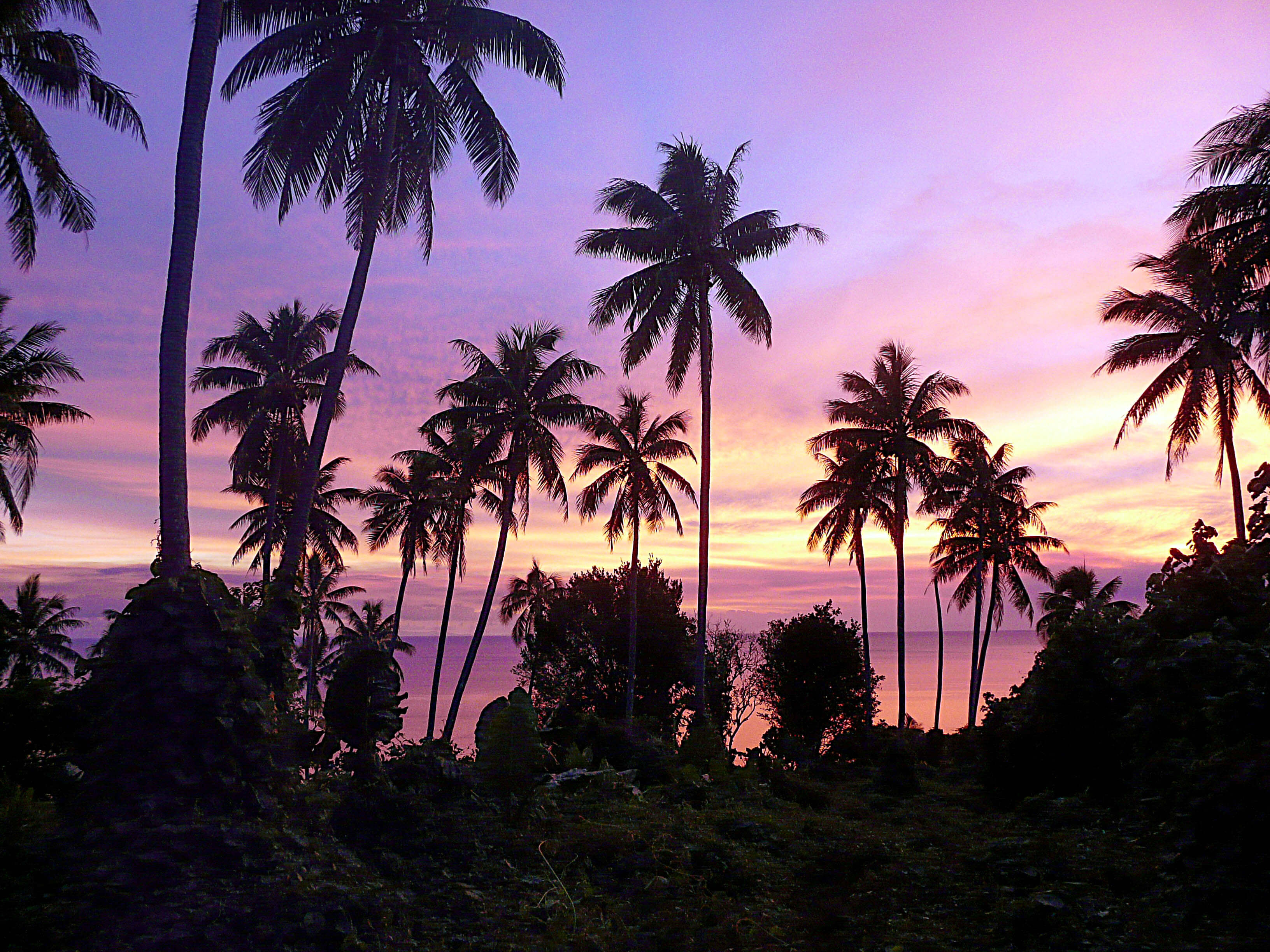 Pentecost ile paradisiaque Island Vanuatu