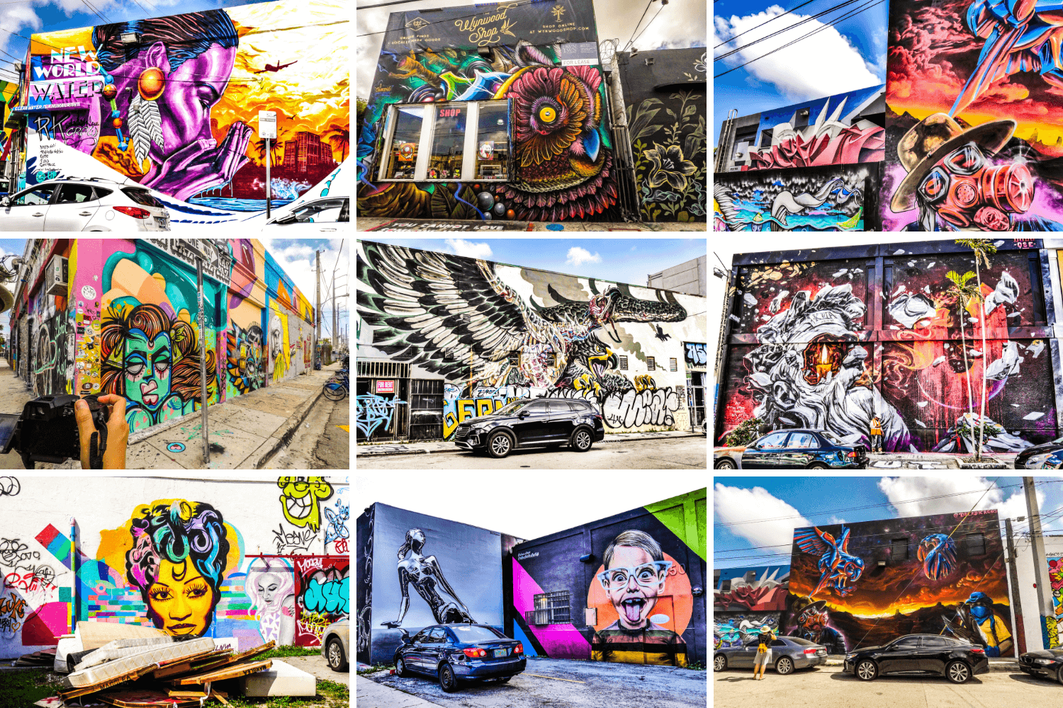 Que faire à Miami, visiter la street art à Wynwood