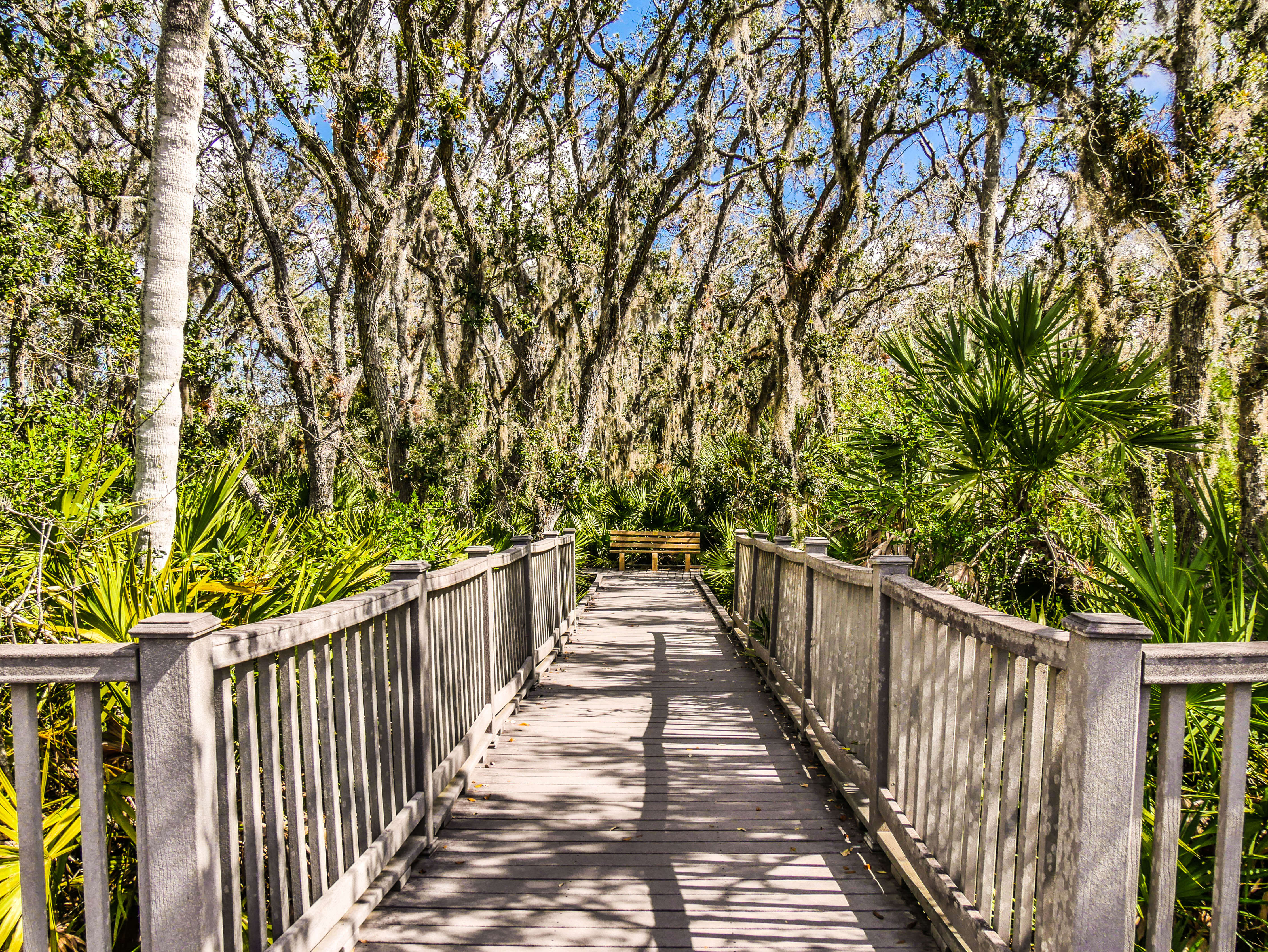 Randonnée Merritt Island Floride