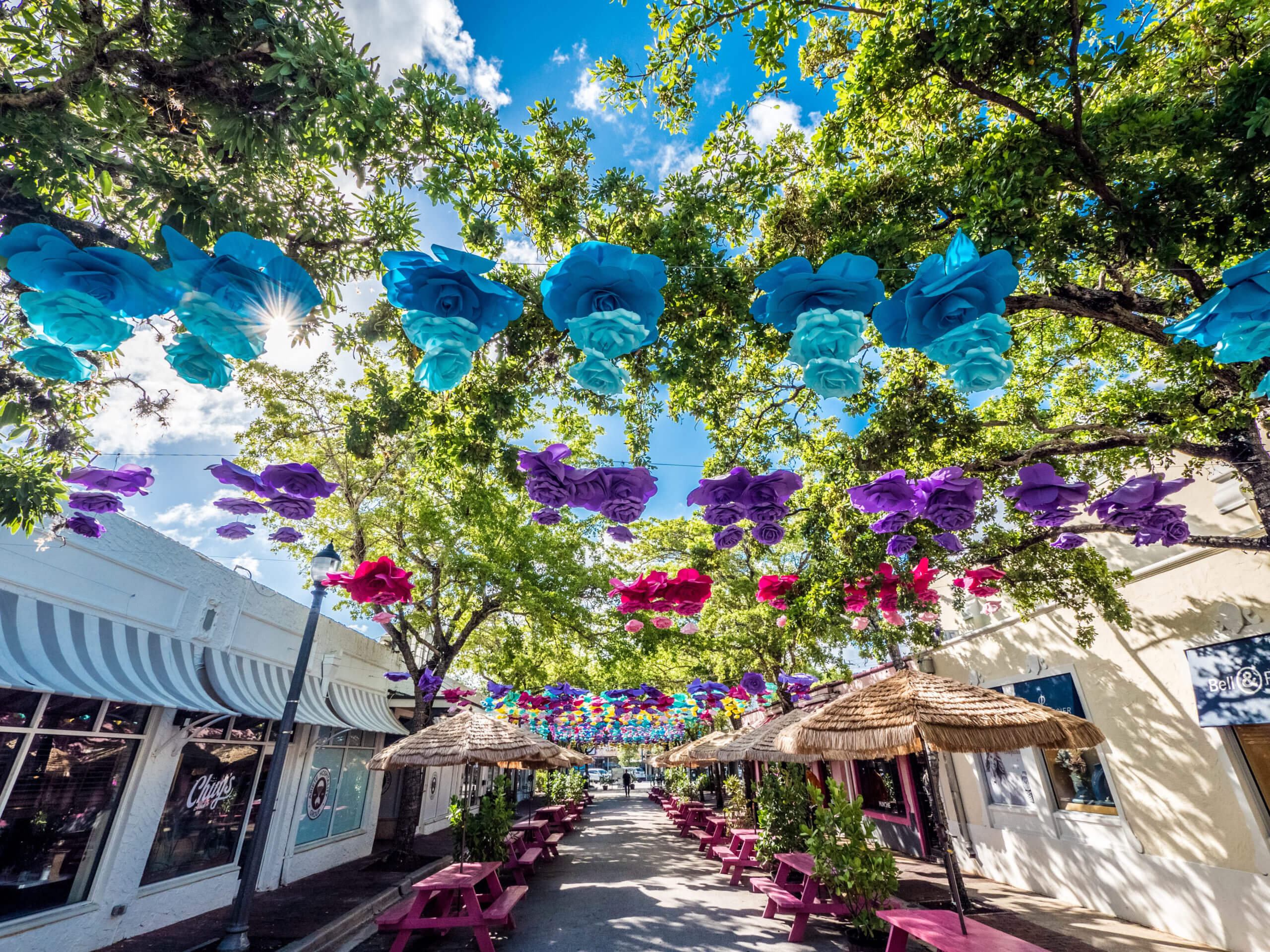 Rue de Coconut Grove à visiter Miami