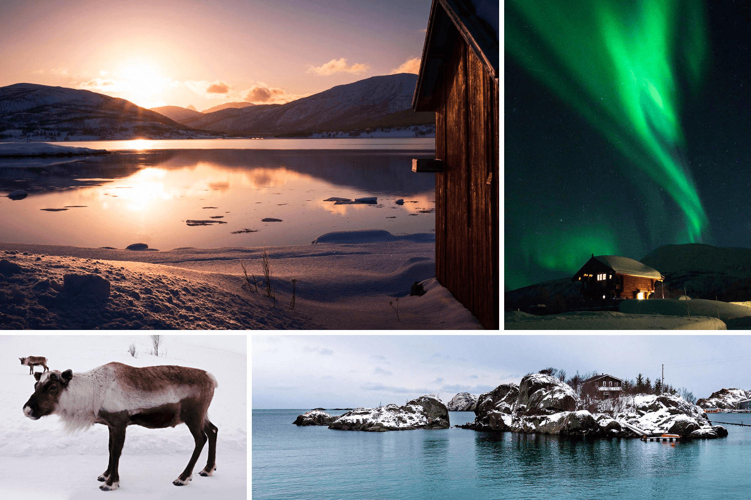 Senja montage ile paradisiaque Norvège