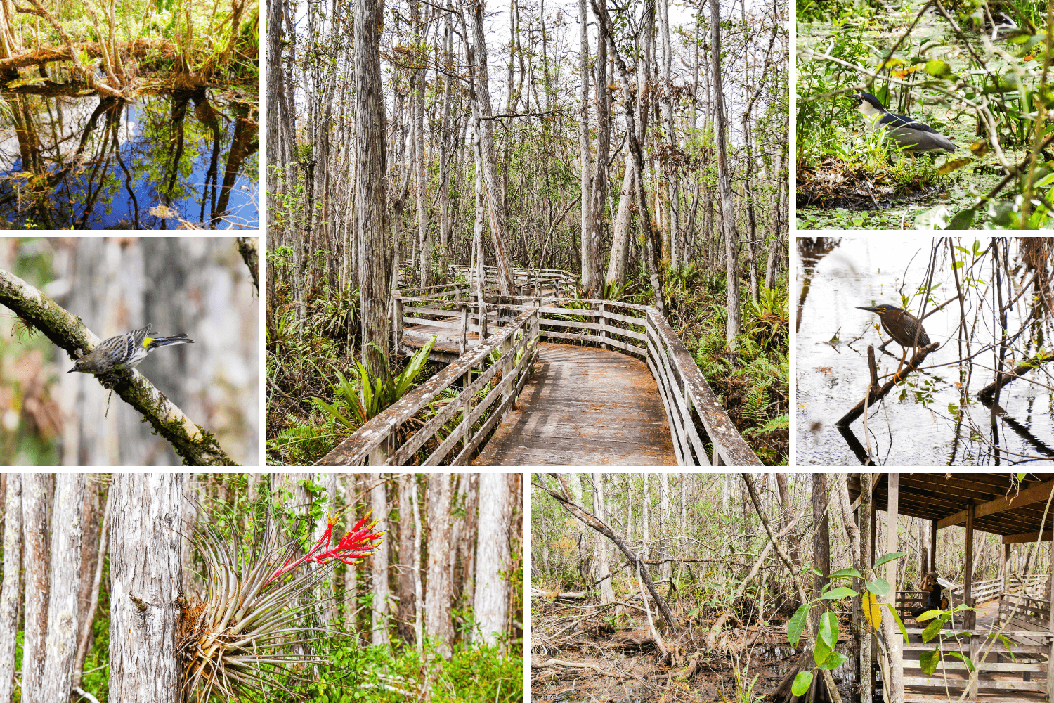 Visite du Corckscrew en Floride