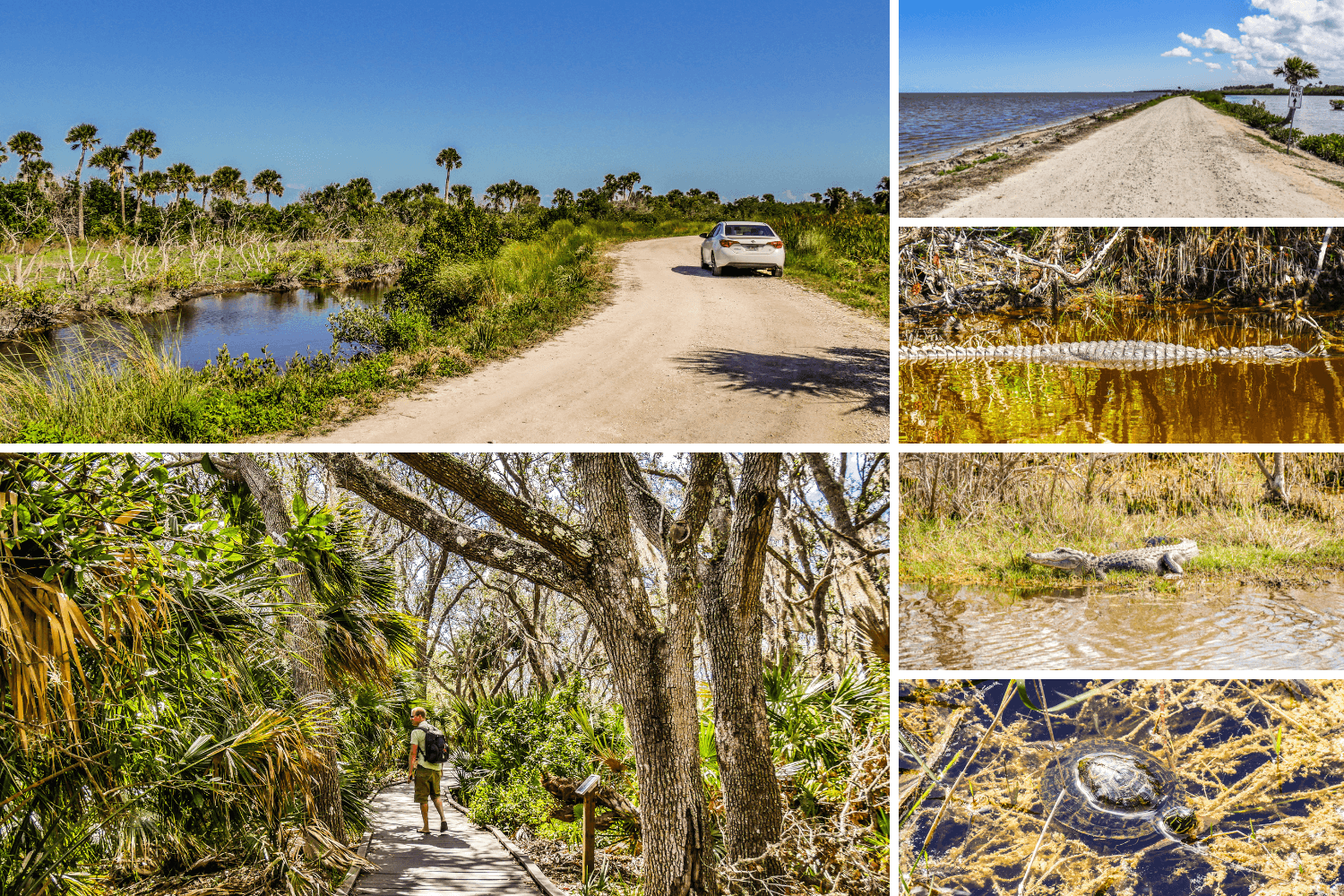 Visiter Merritt Island en Floride