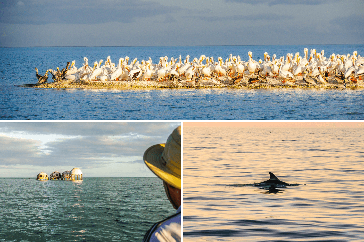 Visiter les Ten Thousand Islands en Floride