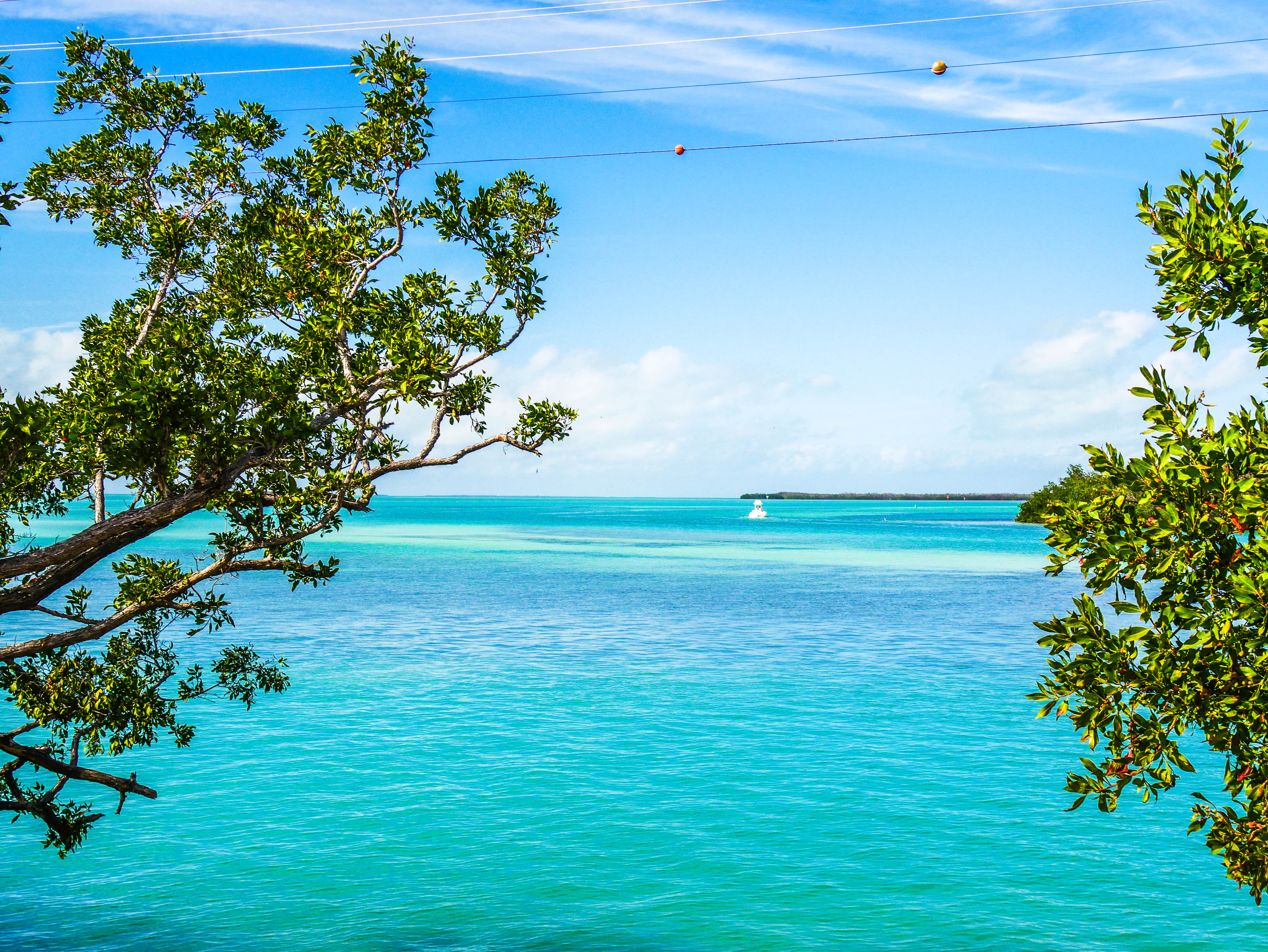 Visiter Les Keys : Nos Idées De Visites De Key Largo à Key West