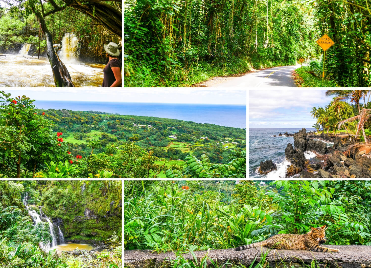Visiter la Route d'Hana à Maui Hawaii