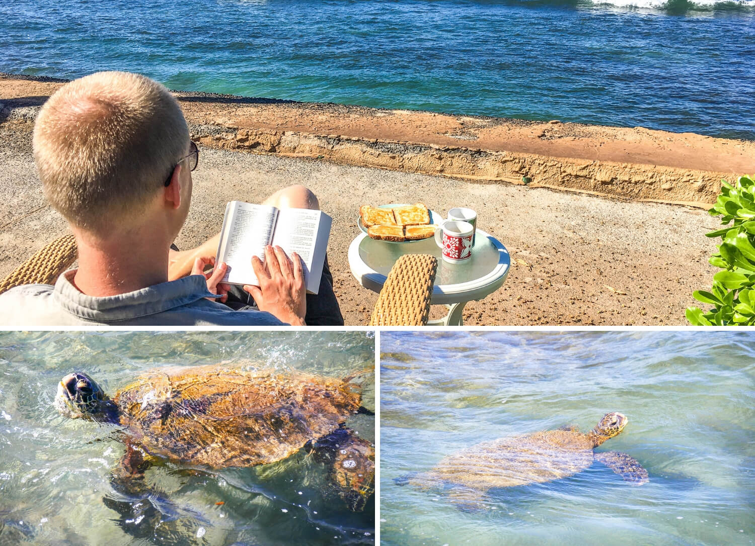 Tortues et petit déjeuner avec vue à Maui Hawaii