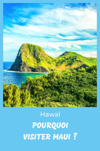 Visiter Maui Hawaii Pinterest