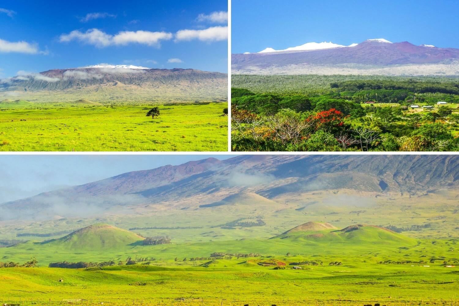 Vue sur le Mauna Kea à Big Island