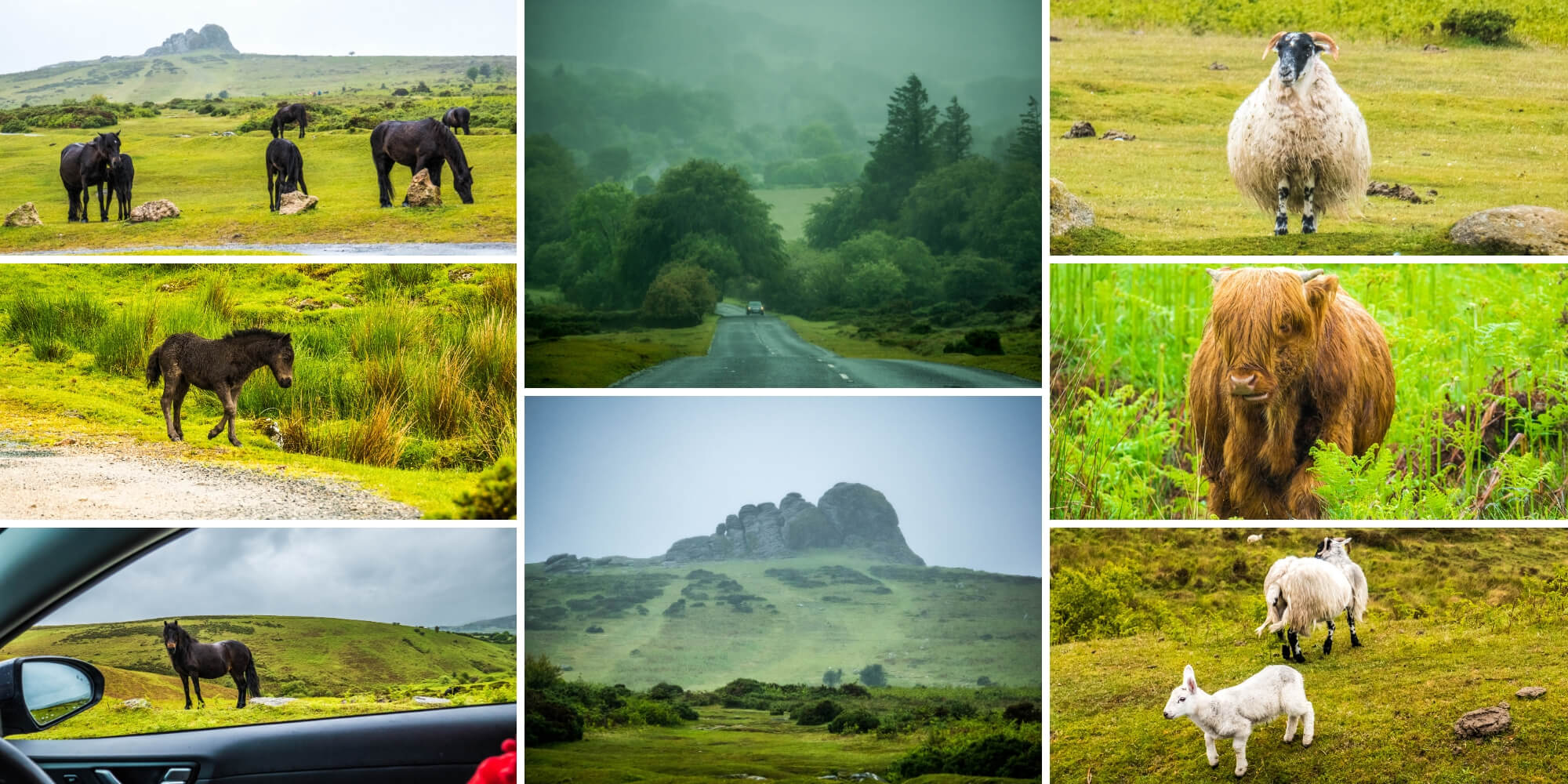 Visiter le Dartmoor National Park