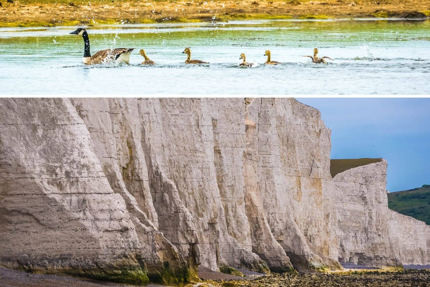 Visiter le Seven Sisters Park Sud Angleterre