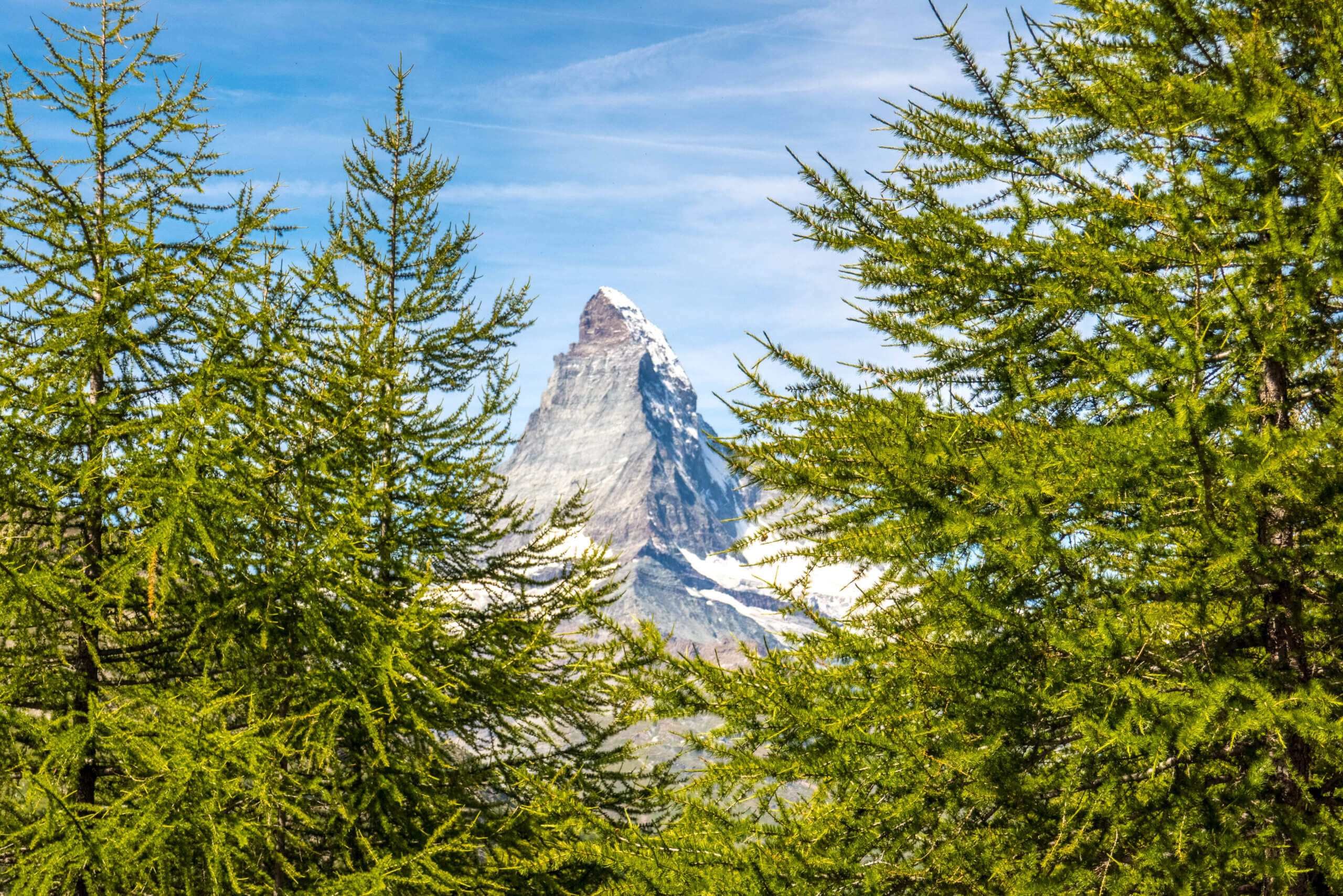 Voir le Cervin depuis la forêt Zermatt