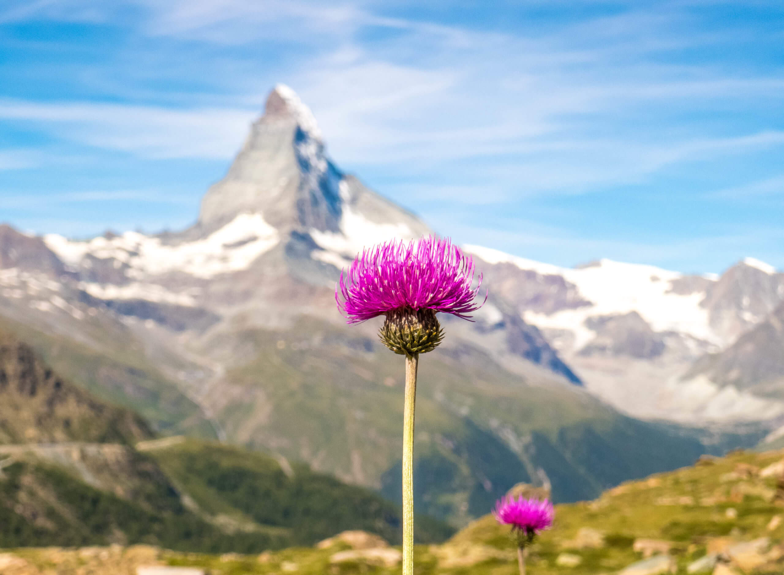 Voir le Matterhorn en randonnée à Zermatt