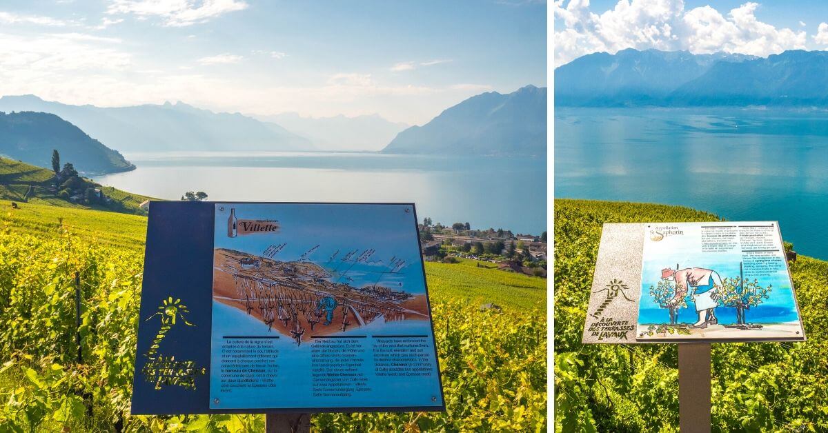 Appellations origines contrôlées vignobles Lavaux