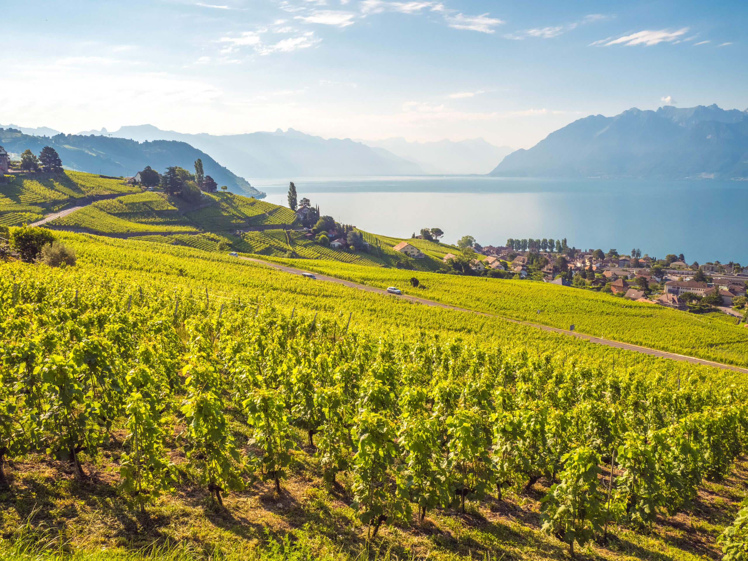 Des airs de toscanes sur le Lavaux