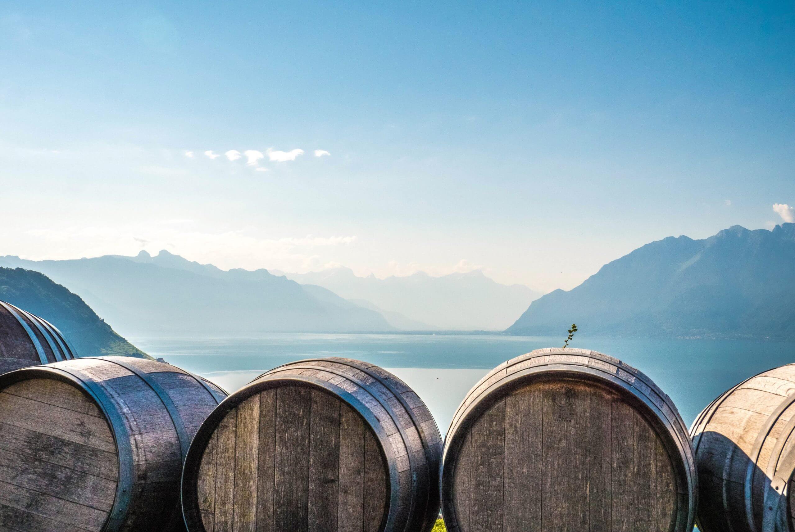 Lavaux et vin