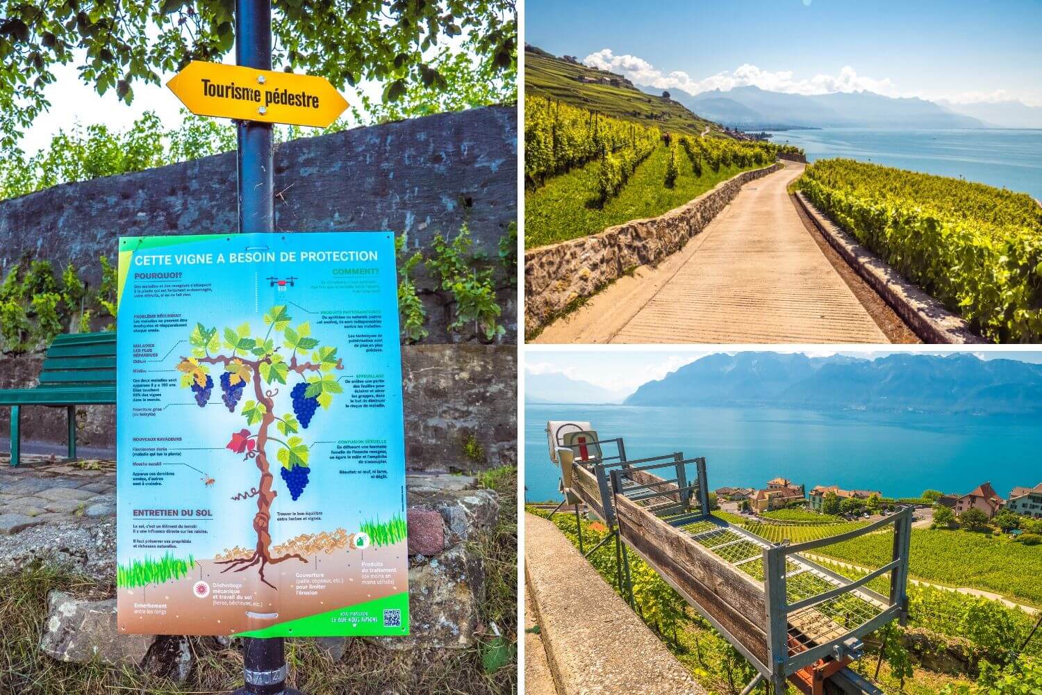 Protéger les Terrasses de Lavaux