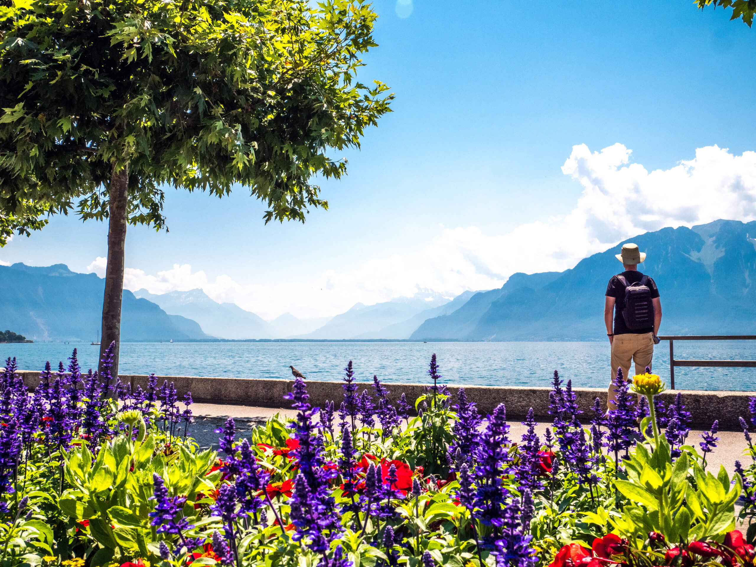 Quai Perdonnet Vevey