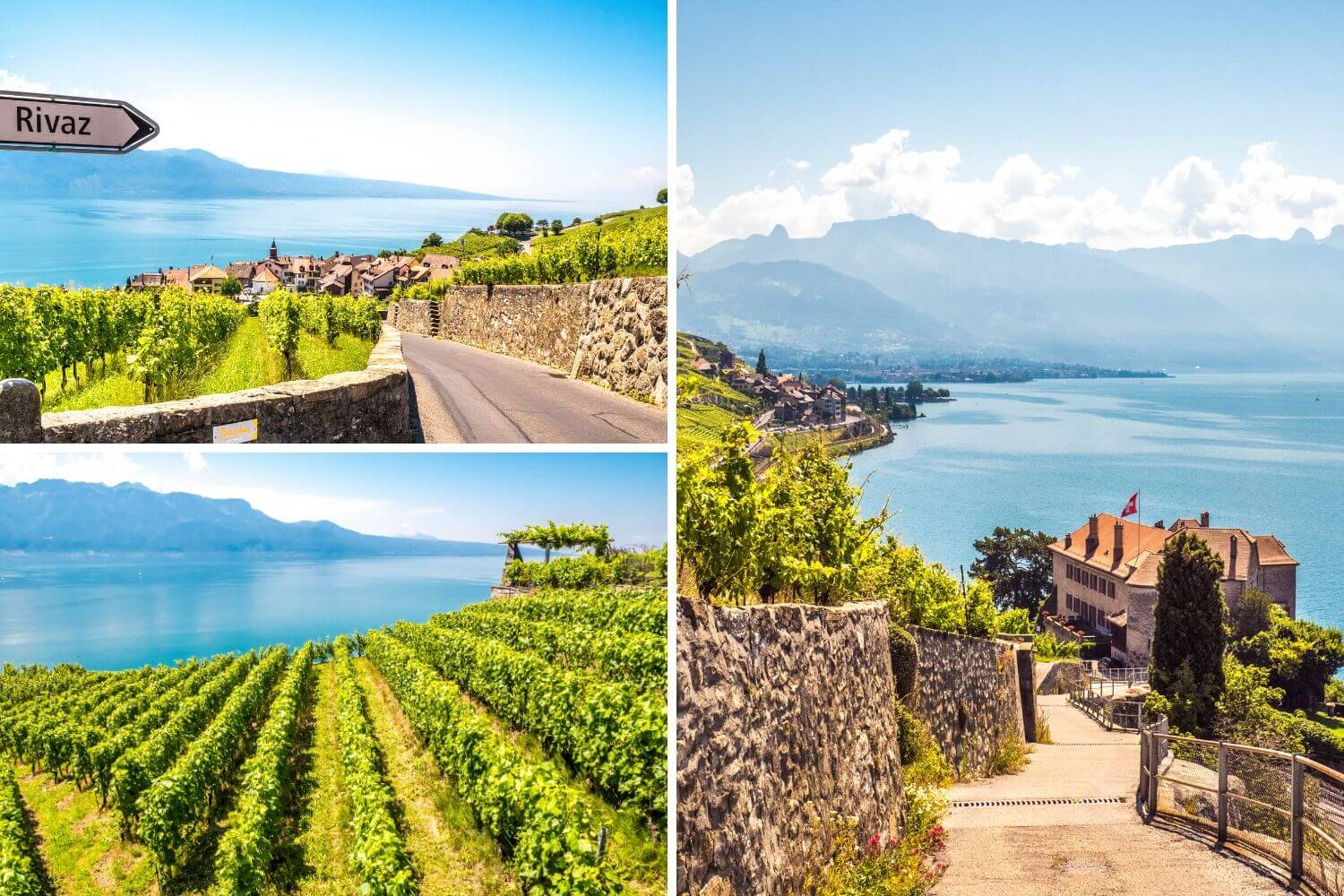 Randonnée Lavaux Rivas St-Saphorin Chexbres