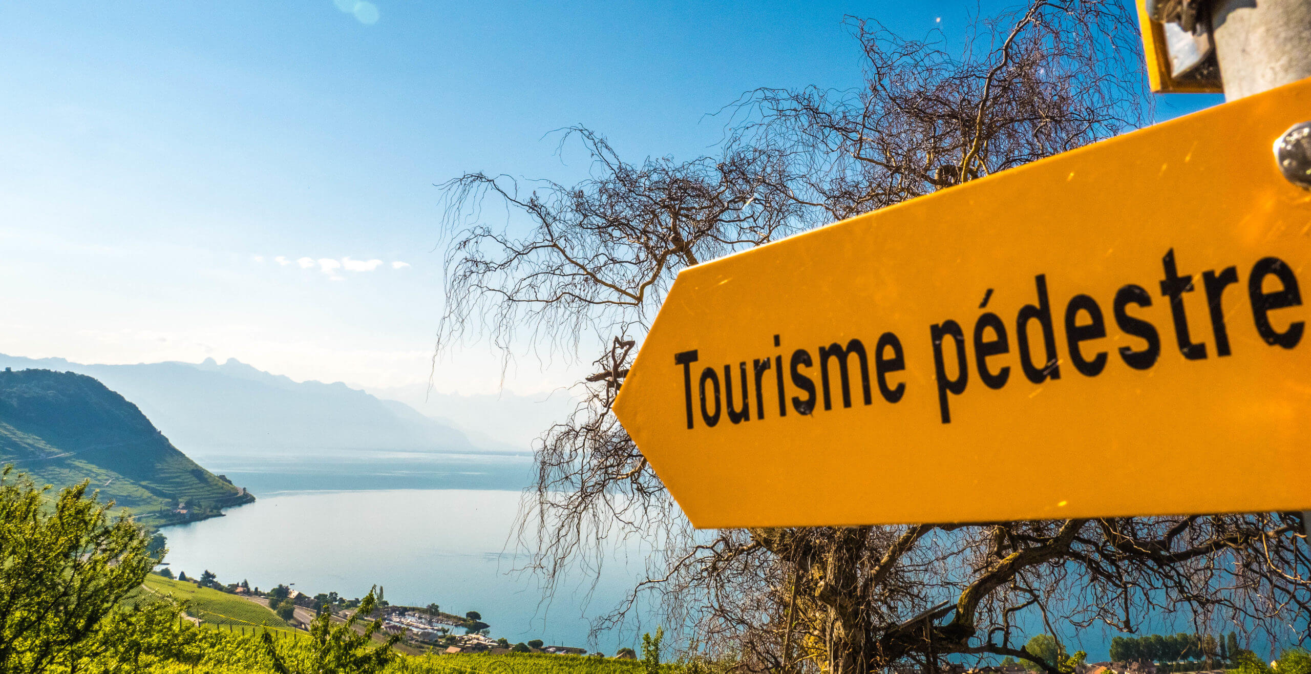 Randonnée Lavaux