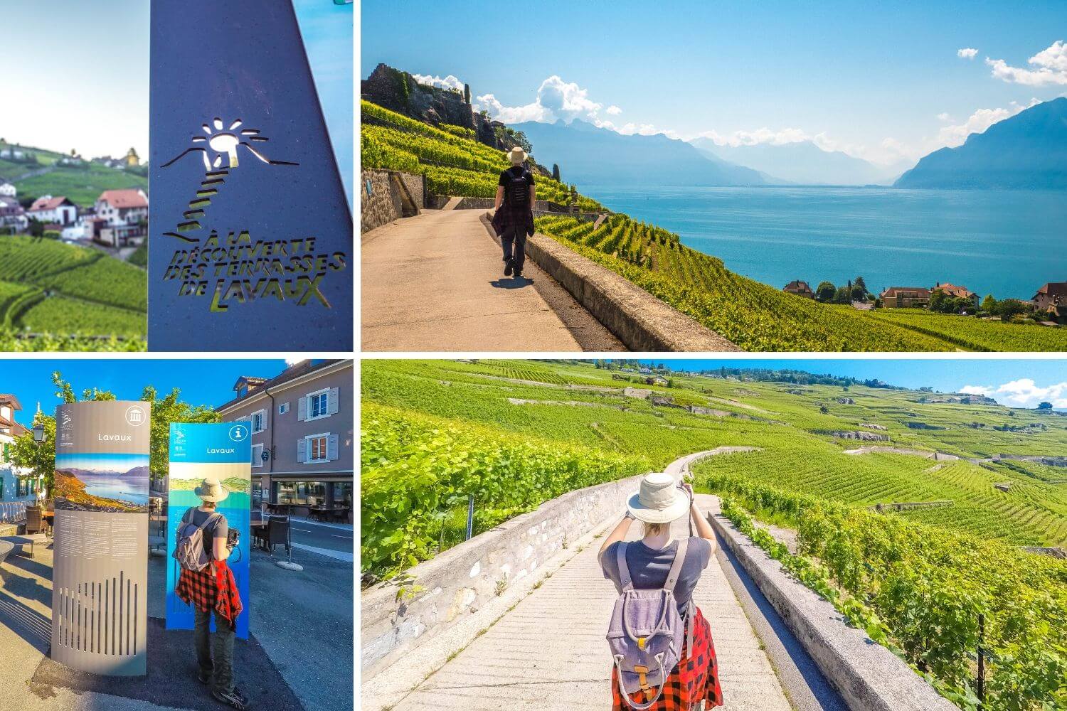 Randonnée Terrasses Lavaux