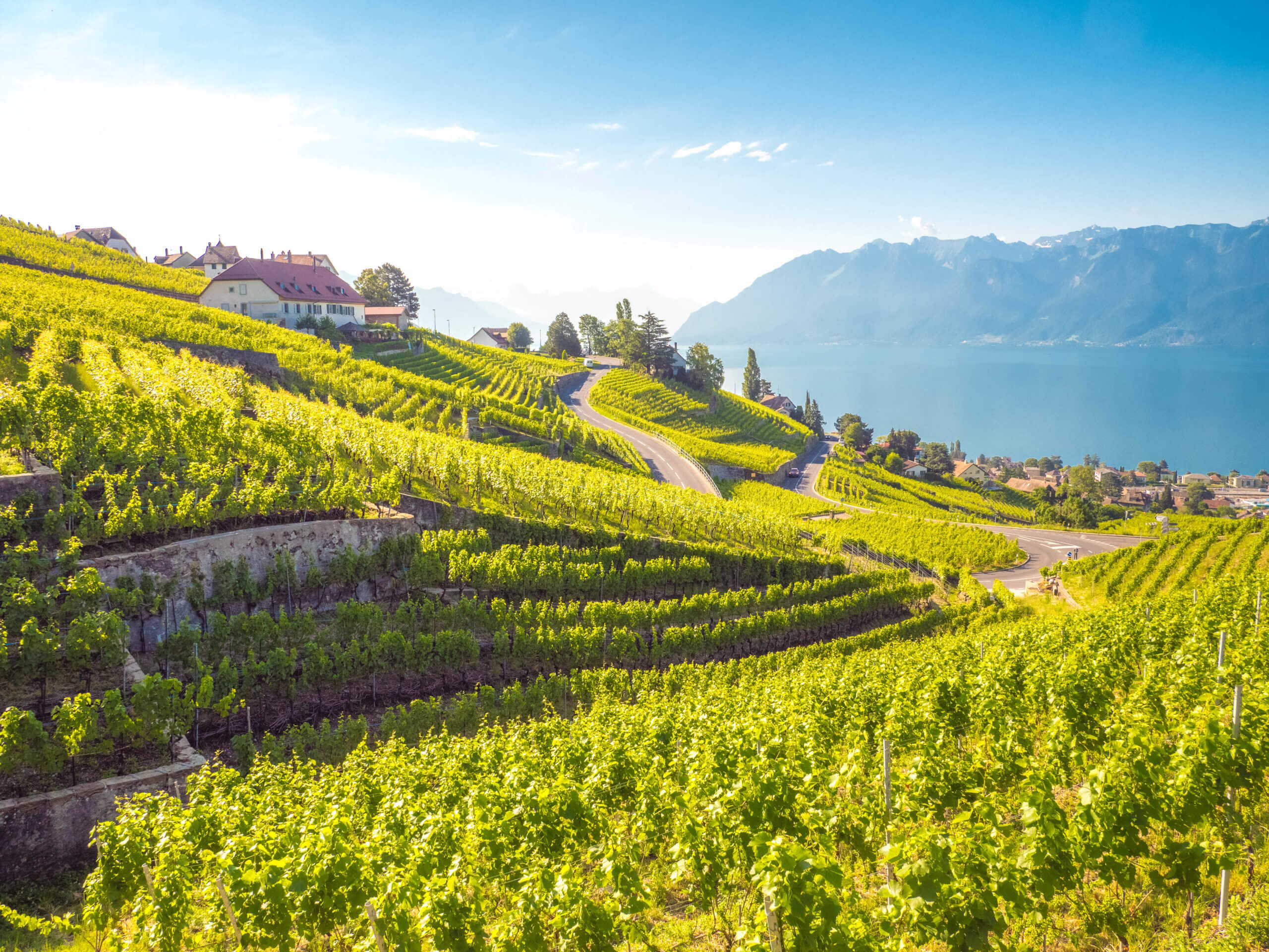 Visiter le Lavaux par la route