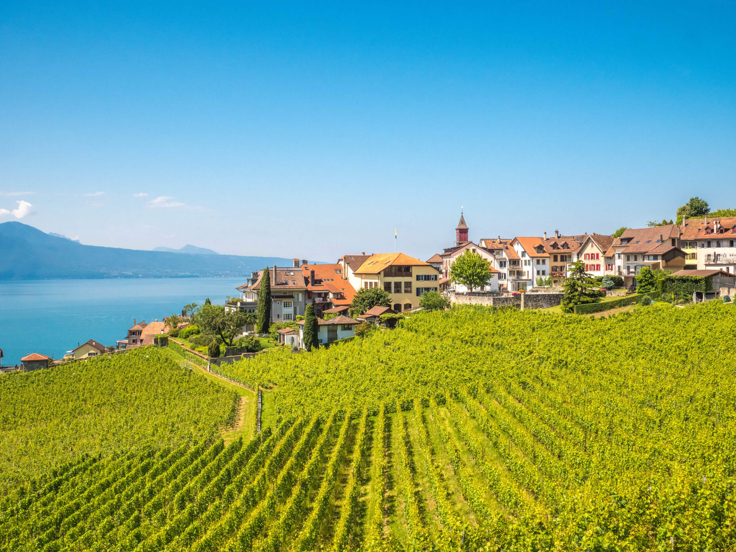 Vue sur Rivaz dans les Terrasses de Lavaux