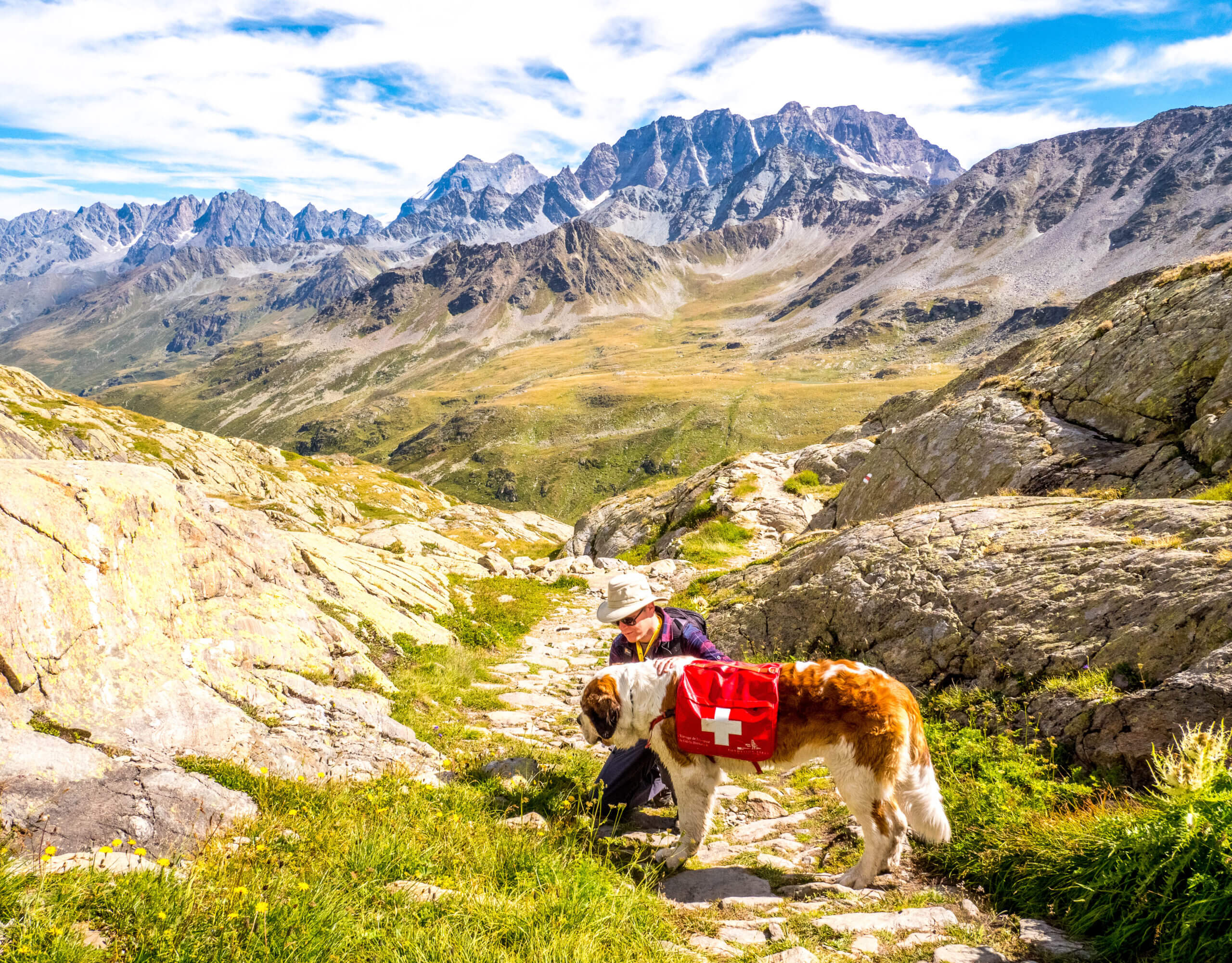 Profiter des chiens pendant la randonnée Grand-Saint-Bernard Suisse