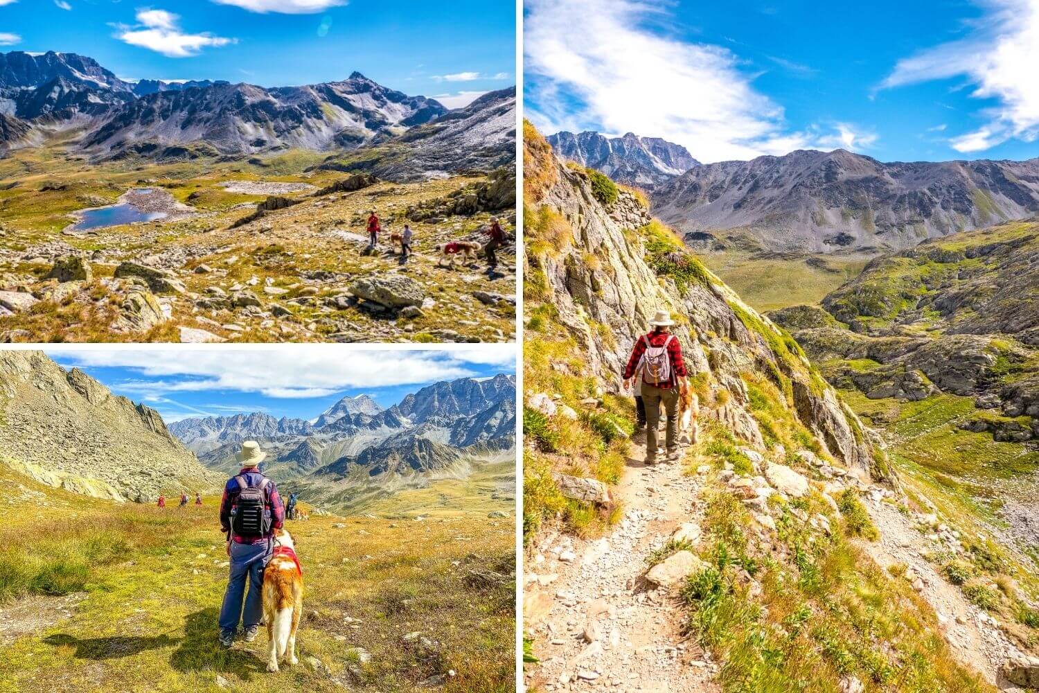 Sentiers de la randonnée au Grand-Saint-Bernard