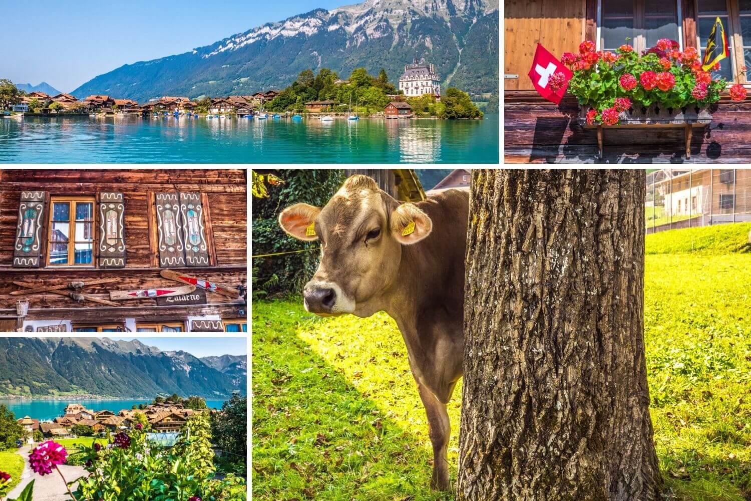 Visiter Iseltwald Oberland bernois