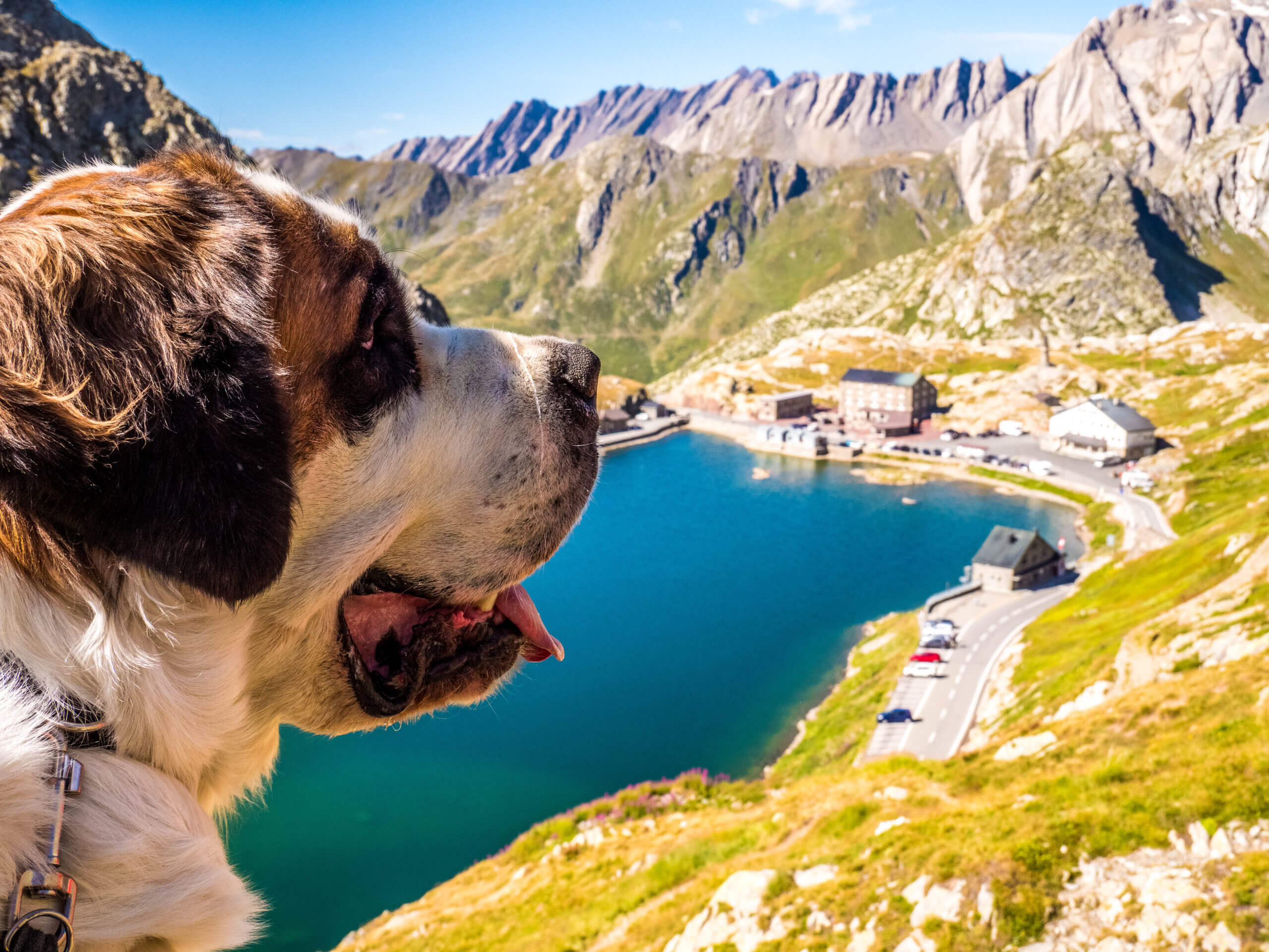 Vue sur le Col avec le St-Bernard
