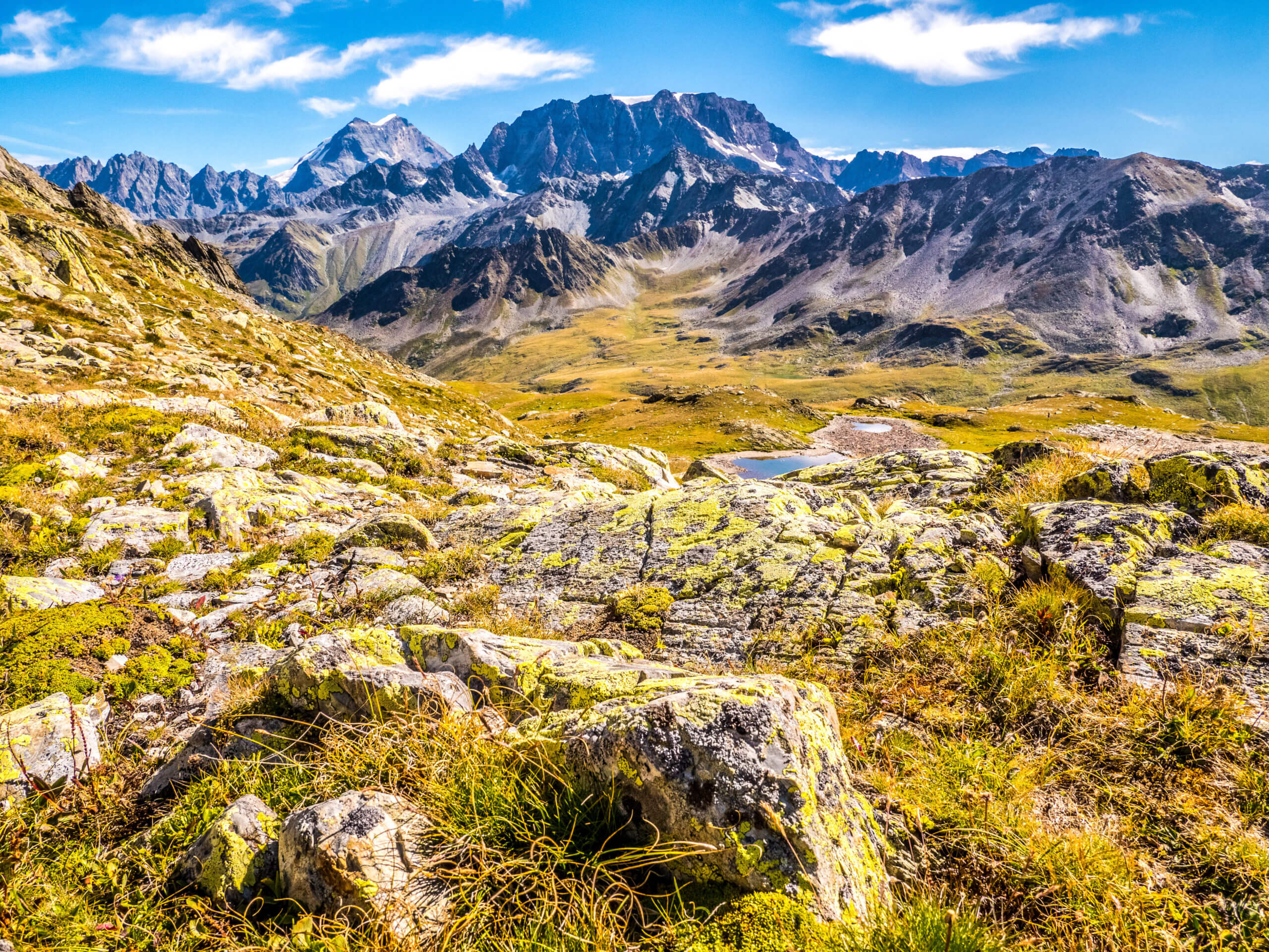 Vue sur les Alpes randonnée Grand-Saint-Bernard Valais Suisse