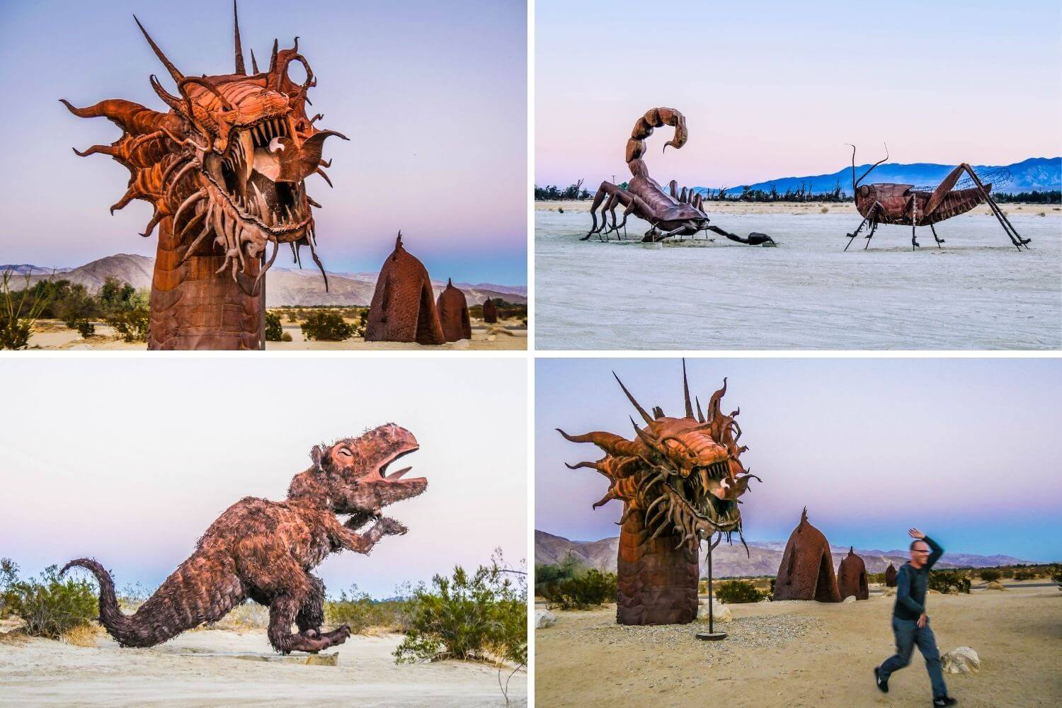 Sculptures Anza Borrego Galleta Meadows