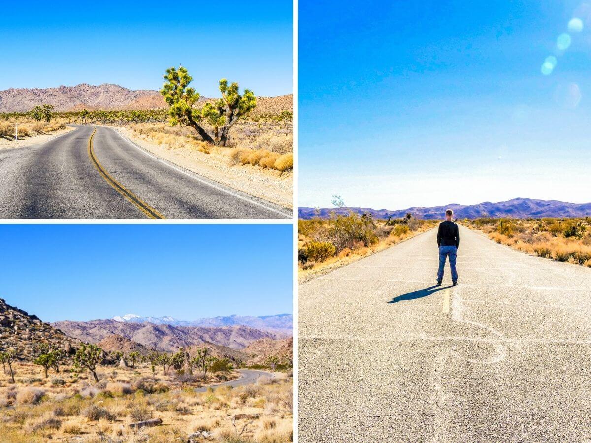 Route désert Joshua Tree Californie